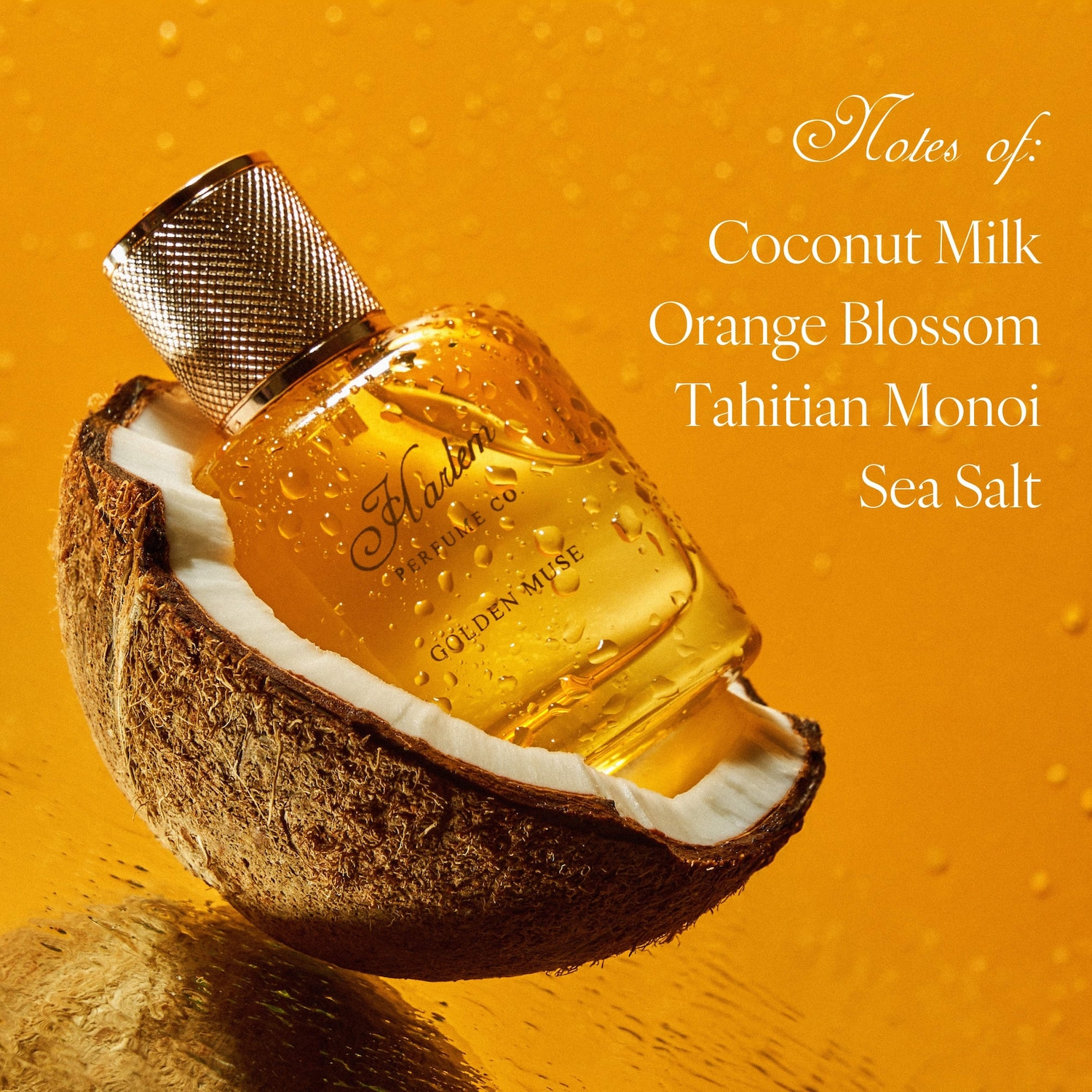 Harlem Perfume Co. Golden Muse Eau de Parfum - Thumbnail 2
