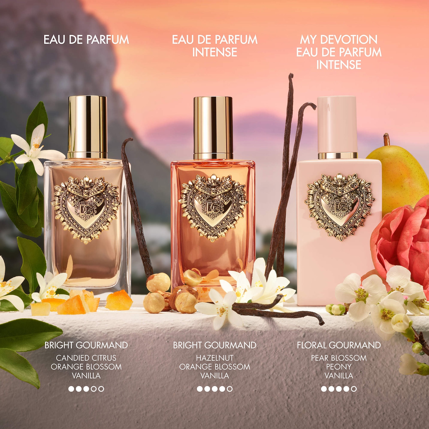 値下げ！新品 Dolce & Gabbana My Devotion 100ml Dolce&Gabbana Devotion Eau de Parfum for Women | DG® US
