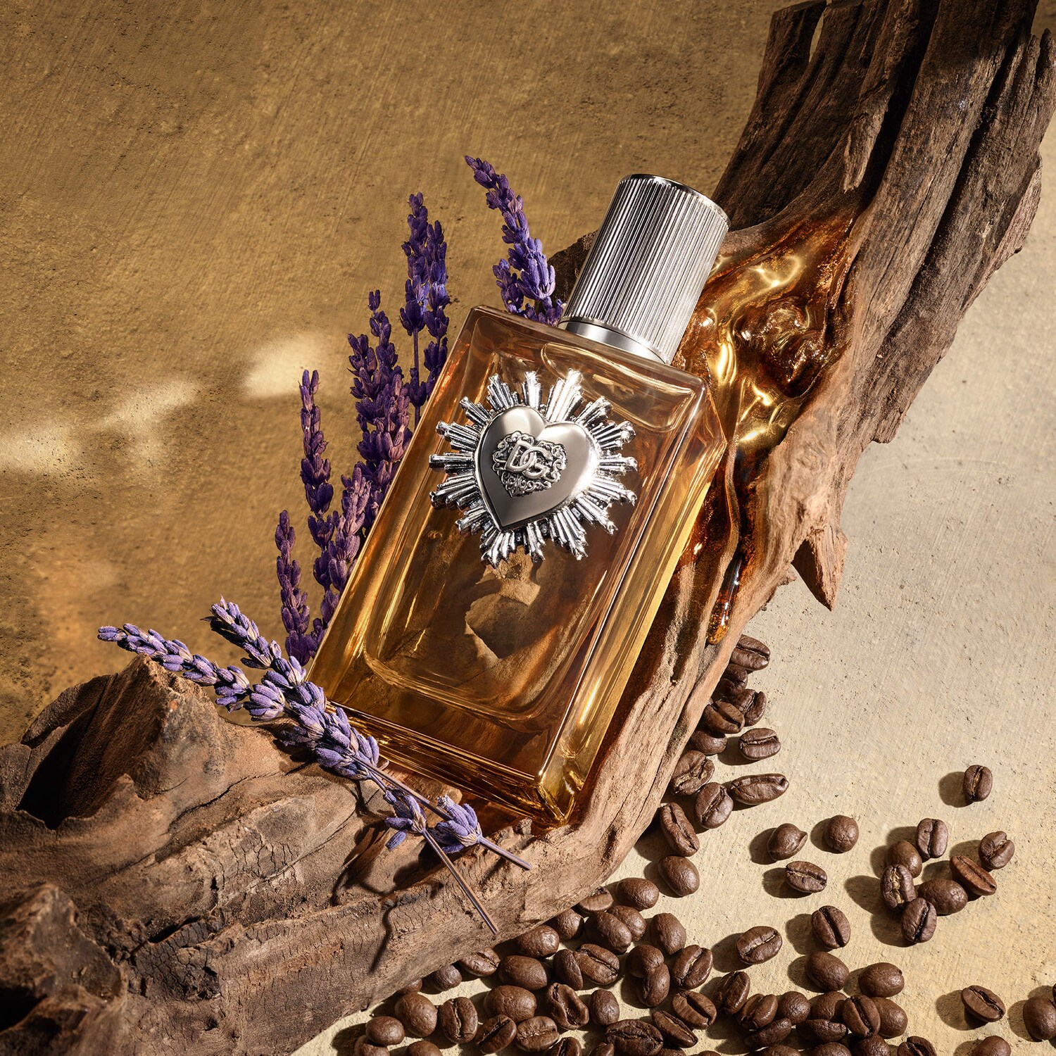 Devotion For Men Parfum with Coffee & Amber Woods - Dolce&Gabbana