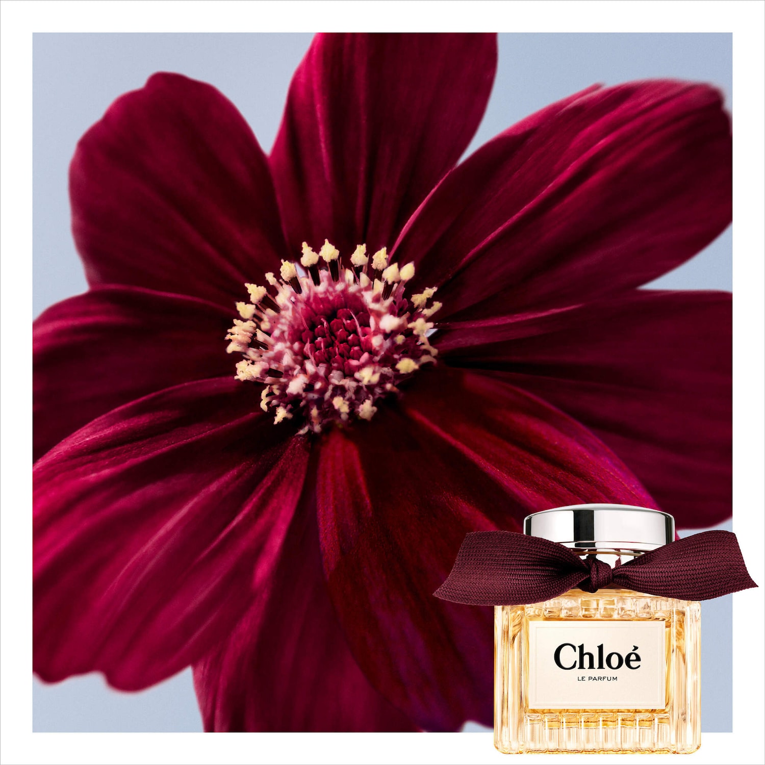 Chloé Le Parfum with Orange Blossom and Vanilla - Chloé | Sephora