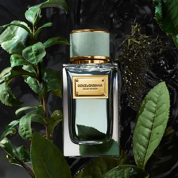 Velvet Infusion avec bergamote et bois de cdre - Dolce&Gabbana | Sephora
