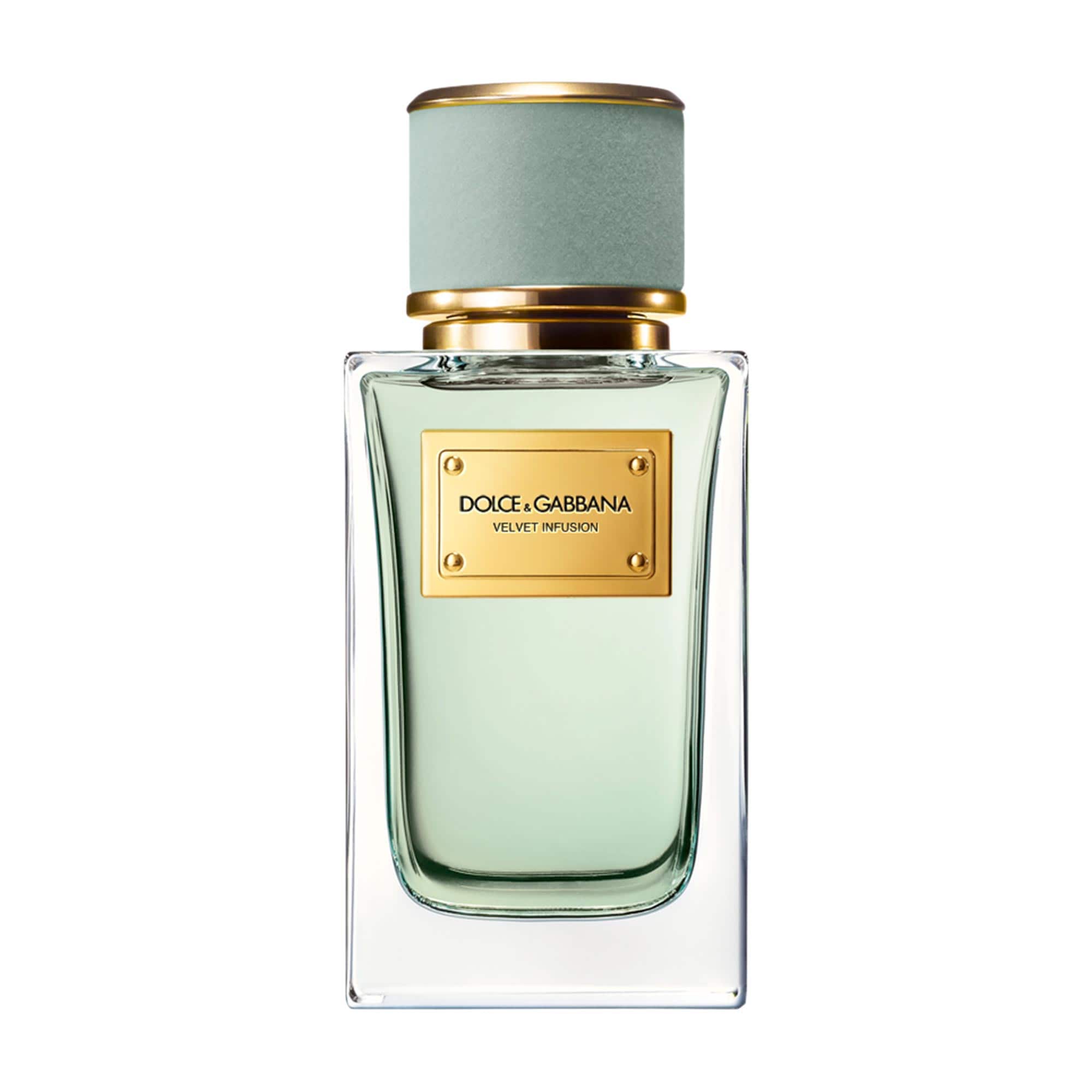 Velvet Infusion with Bergamot & Cedarwood - Dolce&Gabbana | Sephora