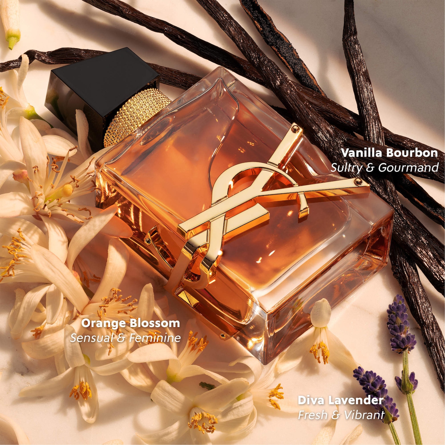 LIBRE Eau de Parfum Intense with Warm Vanilla & Orange Blossom 2