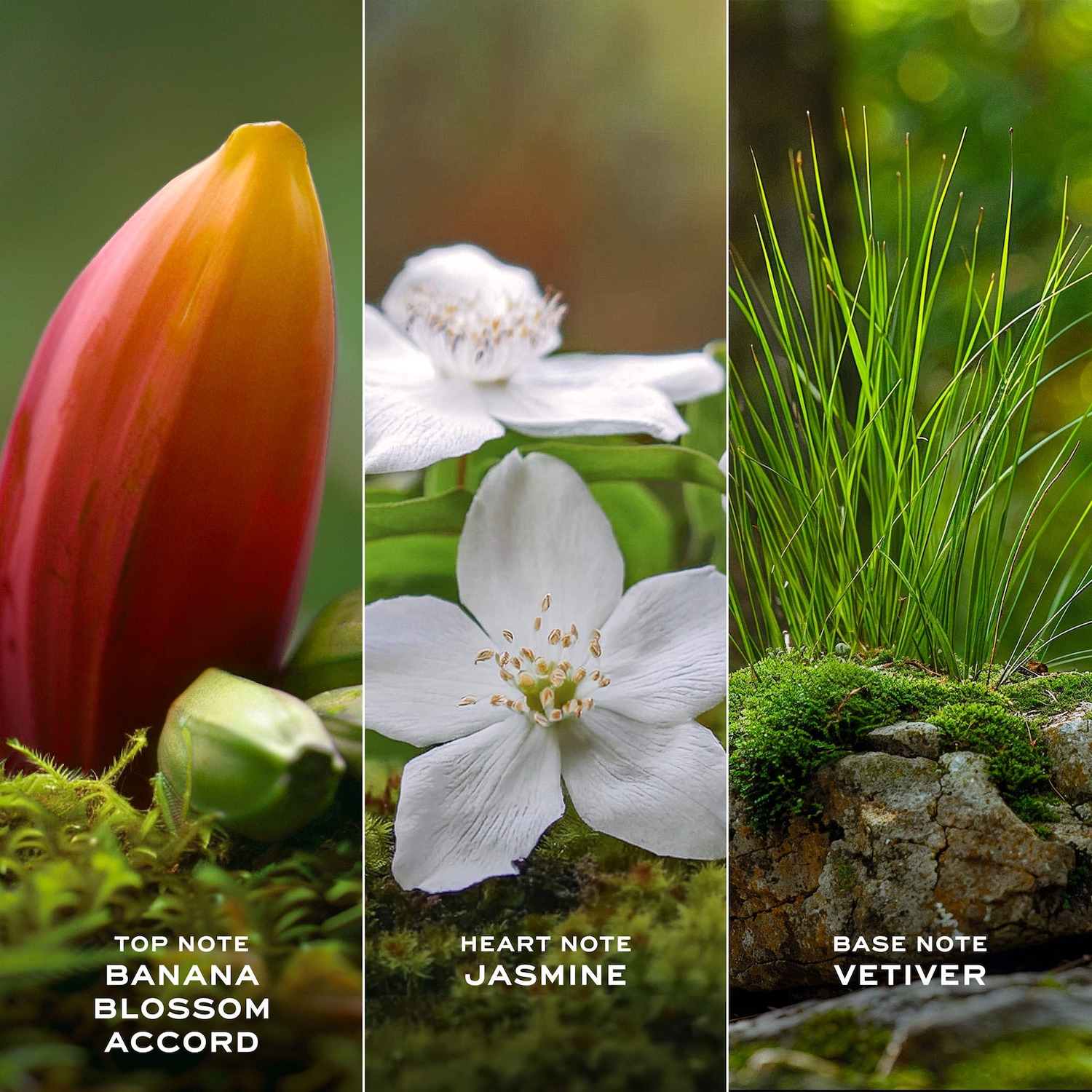 Mini Daisy Wild Eau de Parfum Duo Gift Set - Marc Jacobs