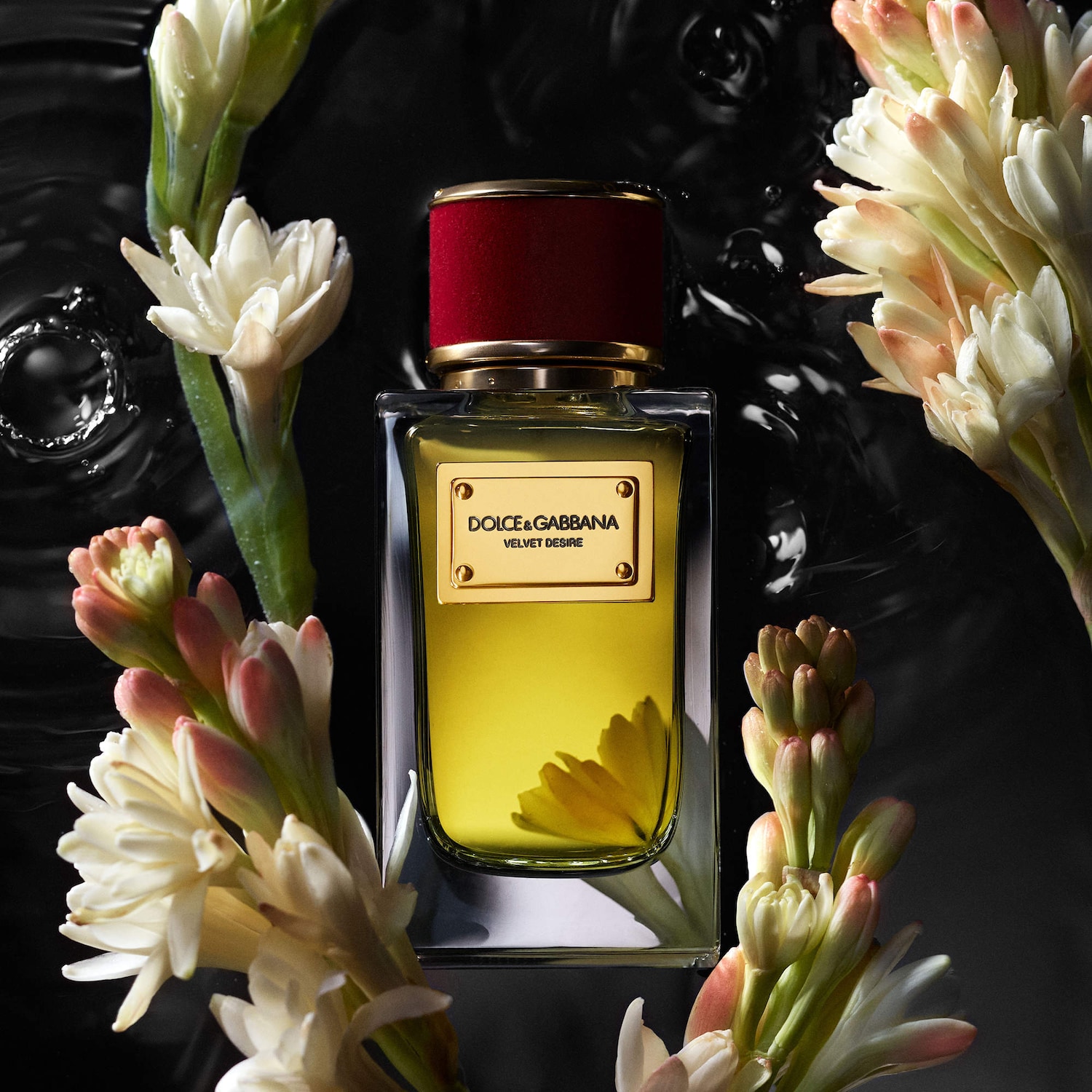 Velvet Desire Eau de Parfum - Dolce&Gabbana | Sephora