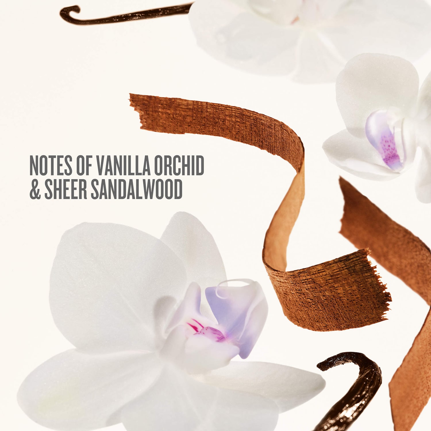 Drench & Dazzle Delícia Drench™ Body Routine Gift Set - Sol de