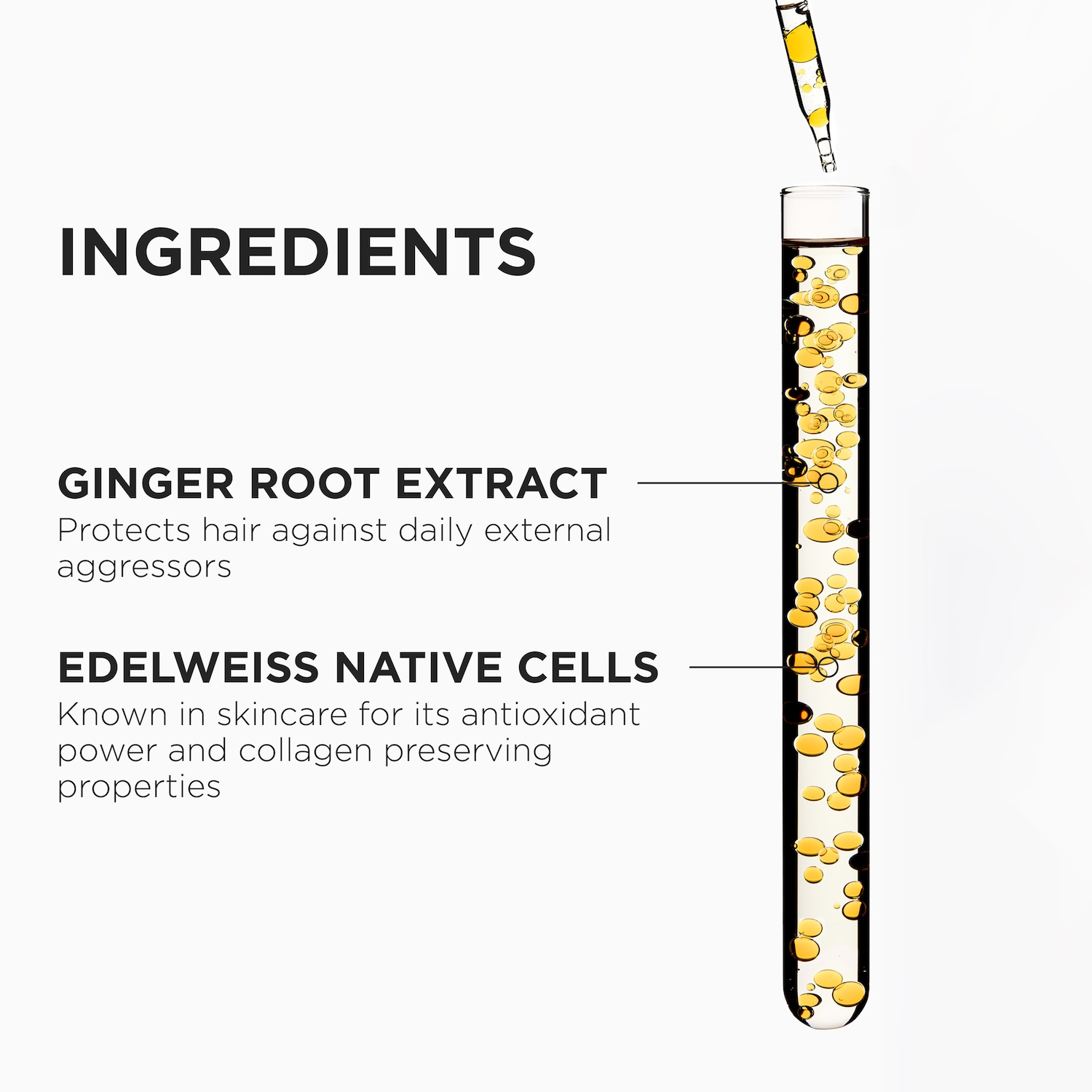 Genesis Hair Strengthening Shampoo for Normal to Dry Hair