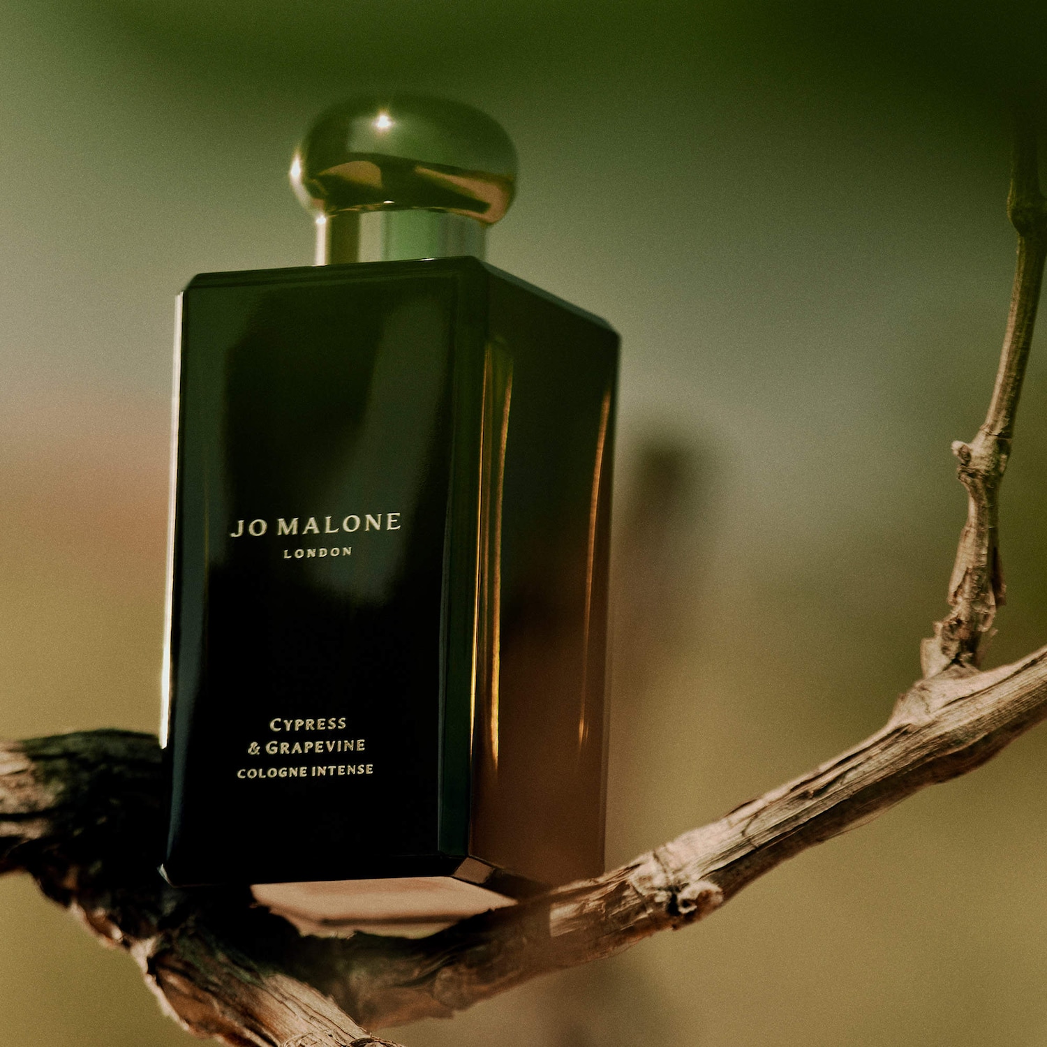 Wood Sage & Sea Salt and Cypress & Grapevine Mini Cologne Duo Set