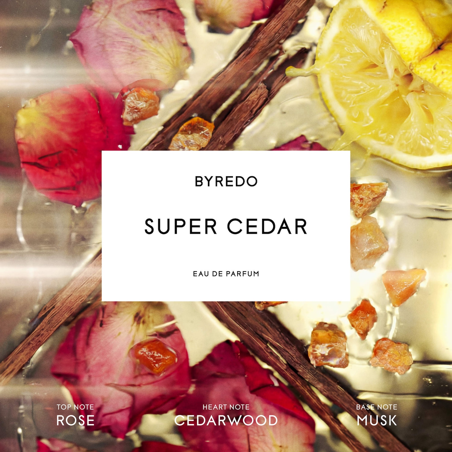 Super Cedar Eau de Parfum - BYREDO | Sephora
