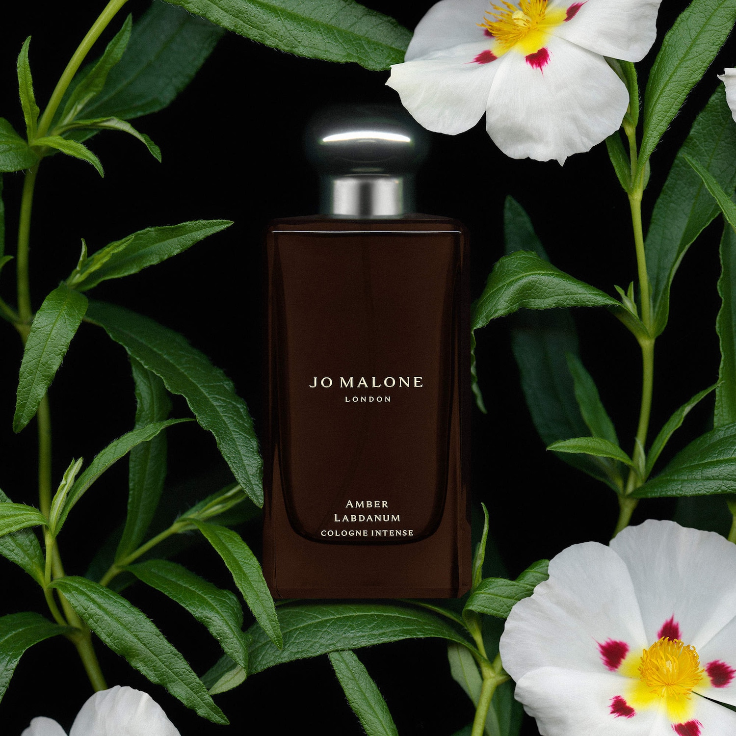 JO MALONE アンバー・ラバダム 100ml Amber & Lavender Cologne | Jo Malone London