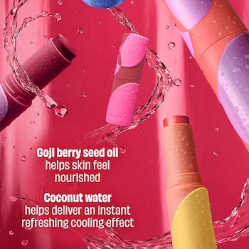 Fard à Joues Skin Food - Poudre Compacte Satinée Avec Petite Brosse - Neuf Sous Blister
