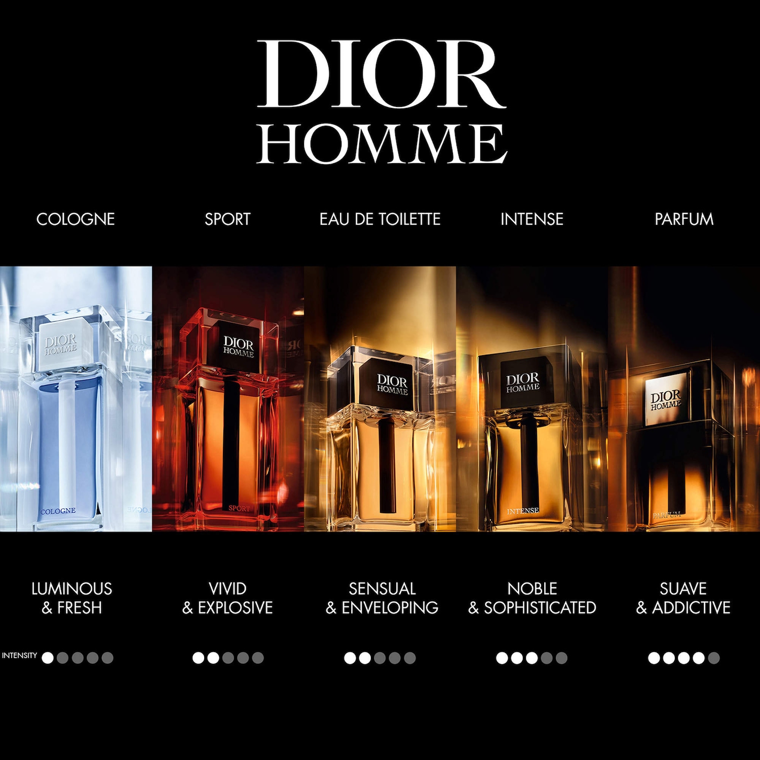 Dior Homme Intense Eau de Parfum - DIOR | Sephora
