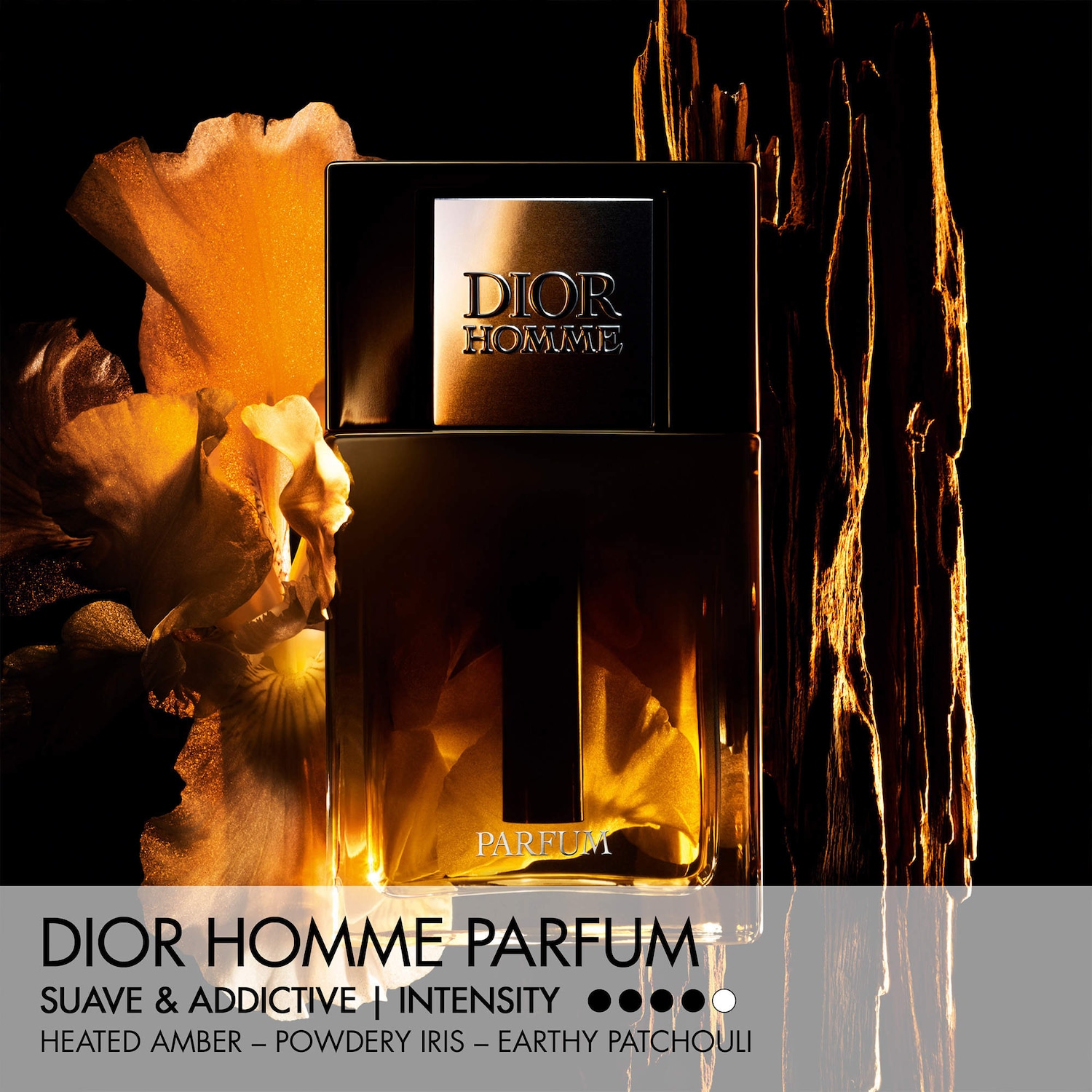 Dior Homme Parfum - DIOR | Sephora