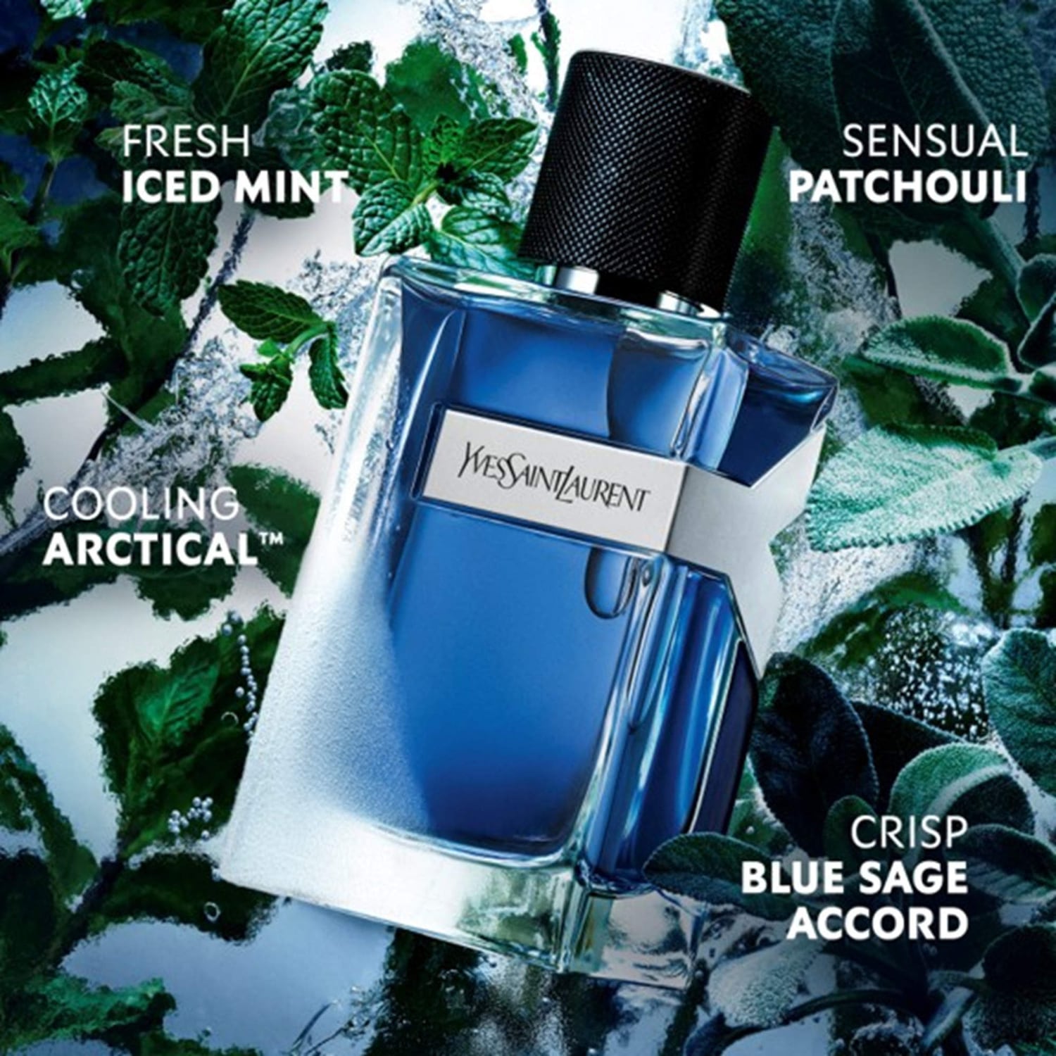 Y Iced Cologne Eau de Toilette Intense with Mint and Patchouli
