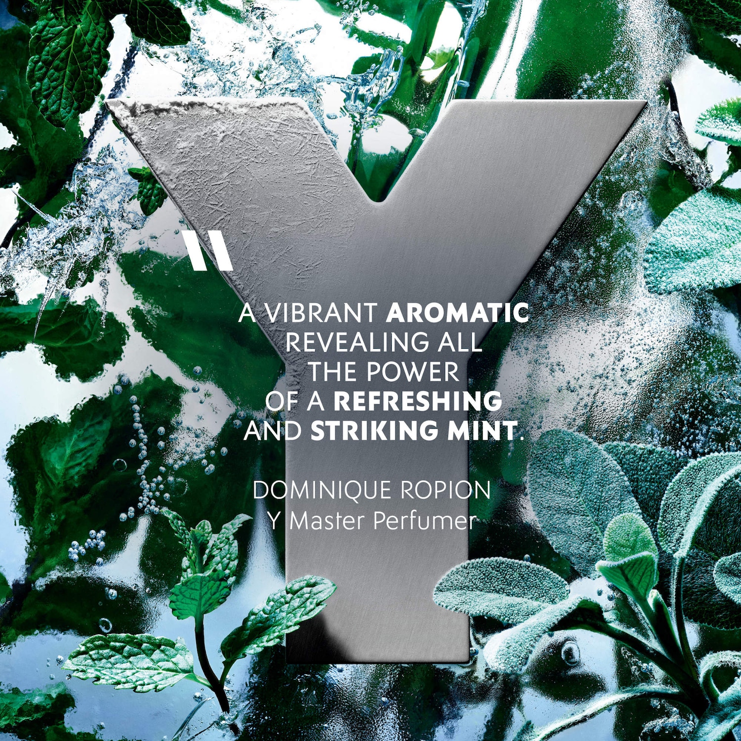 Yves Saint Laurent Y Cologne - Thumbnail 3