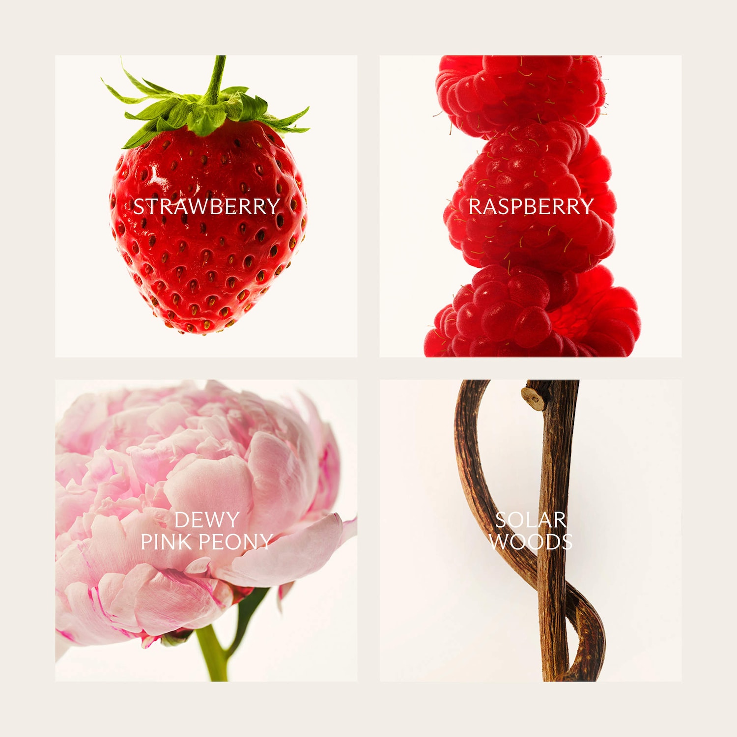 Santa Barbara Strawberry Eau de Parfum - NEST New York | Sephora