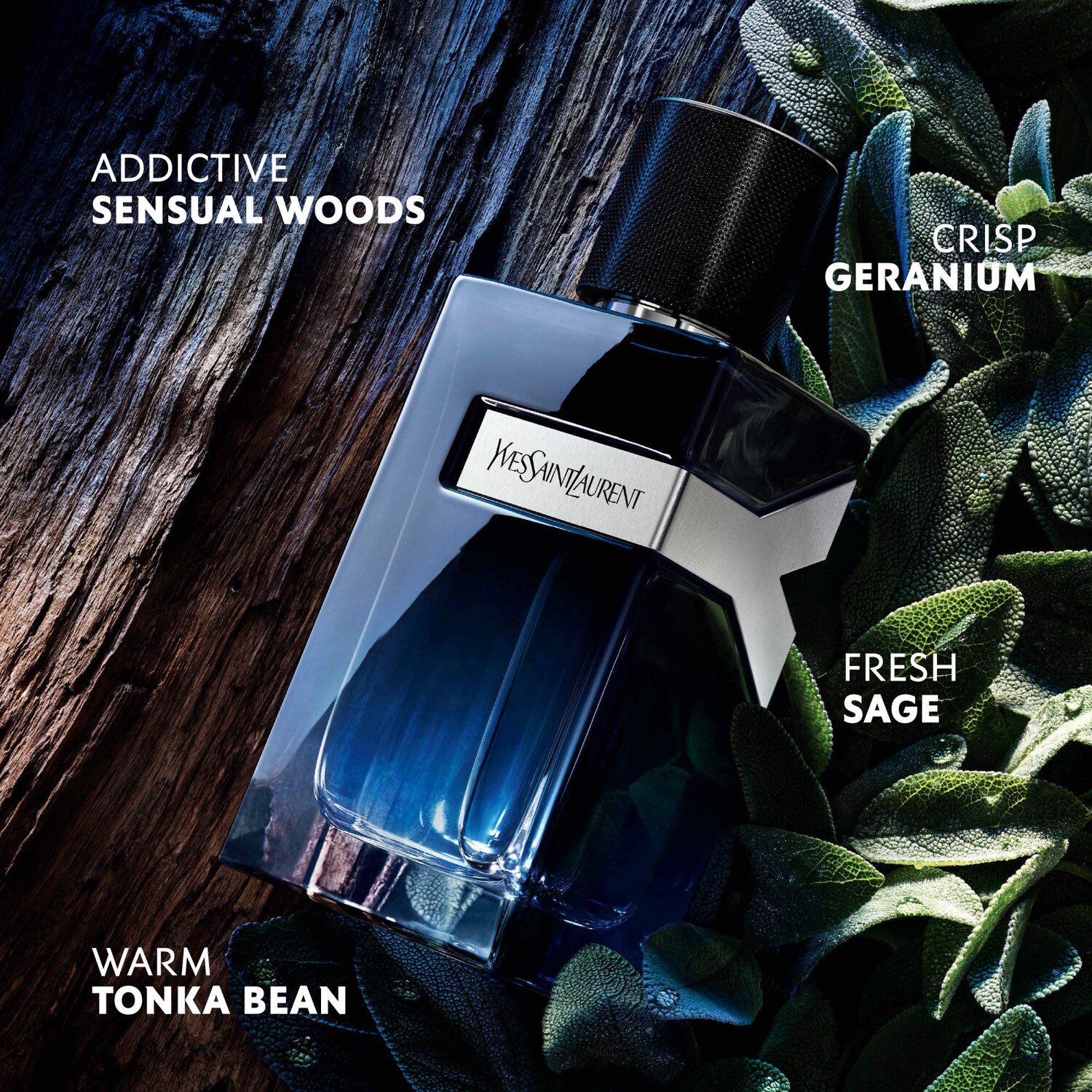 Y Eau de Parfum Valentine's Day Men's Cologne Set - Yves Saint