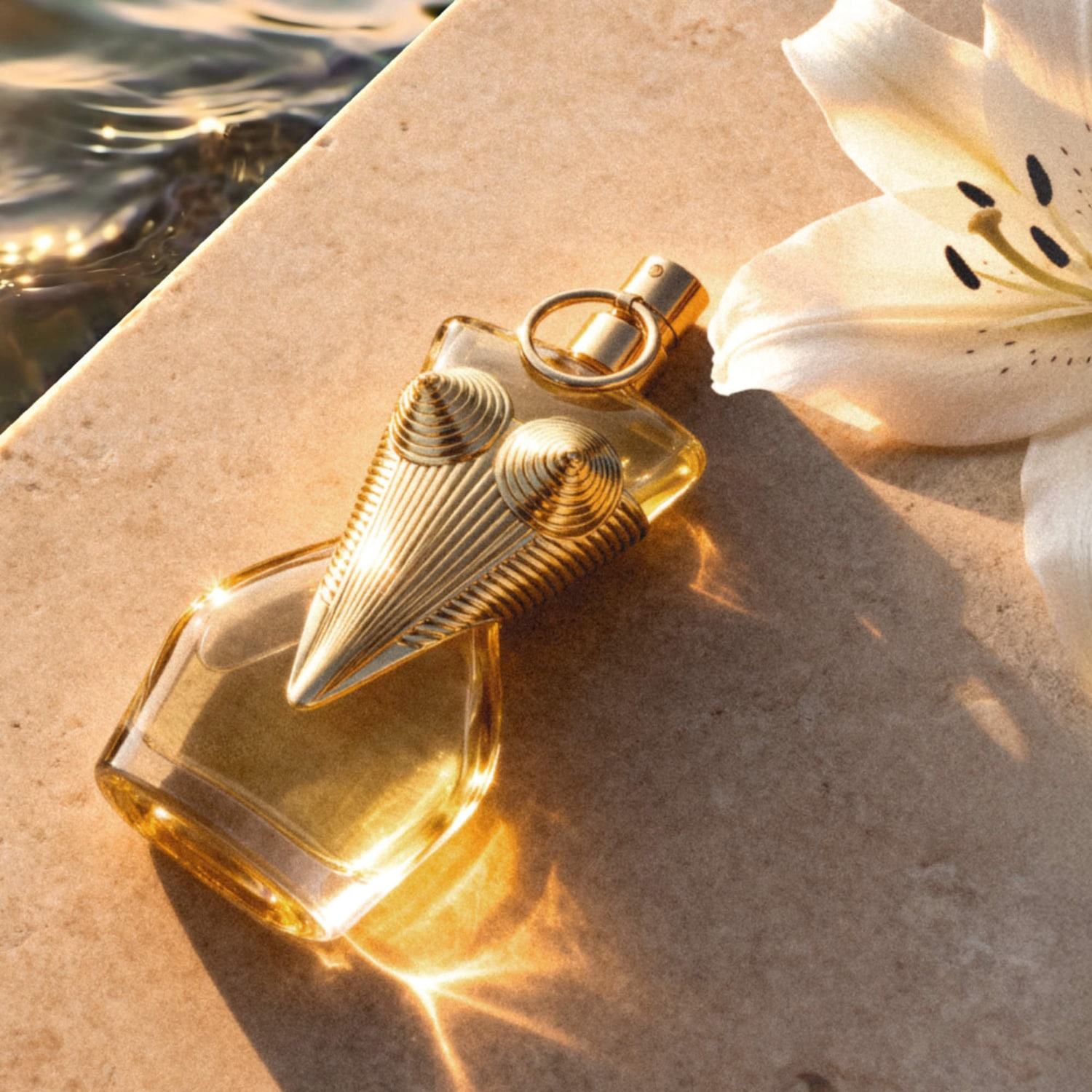 Gaultier Divine Eau de Parfum with Salt and White Florals - Jean