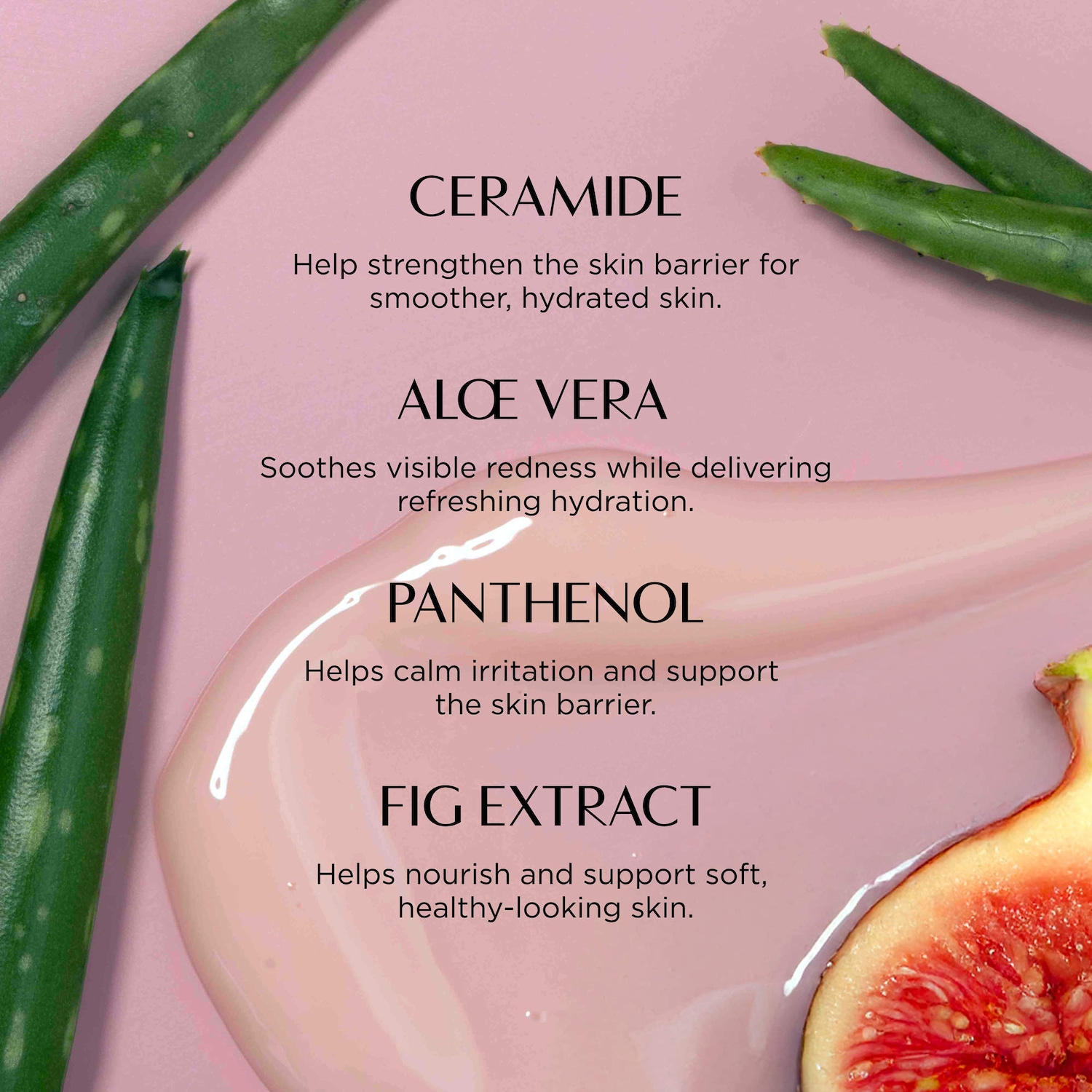 Pudding Calming Everyday Cream with Ceramide and Centella Asiatica