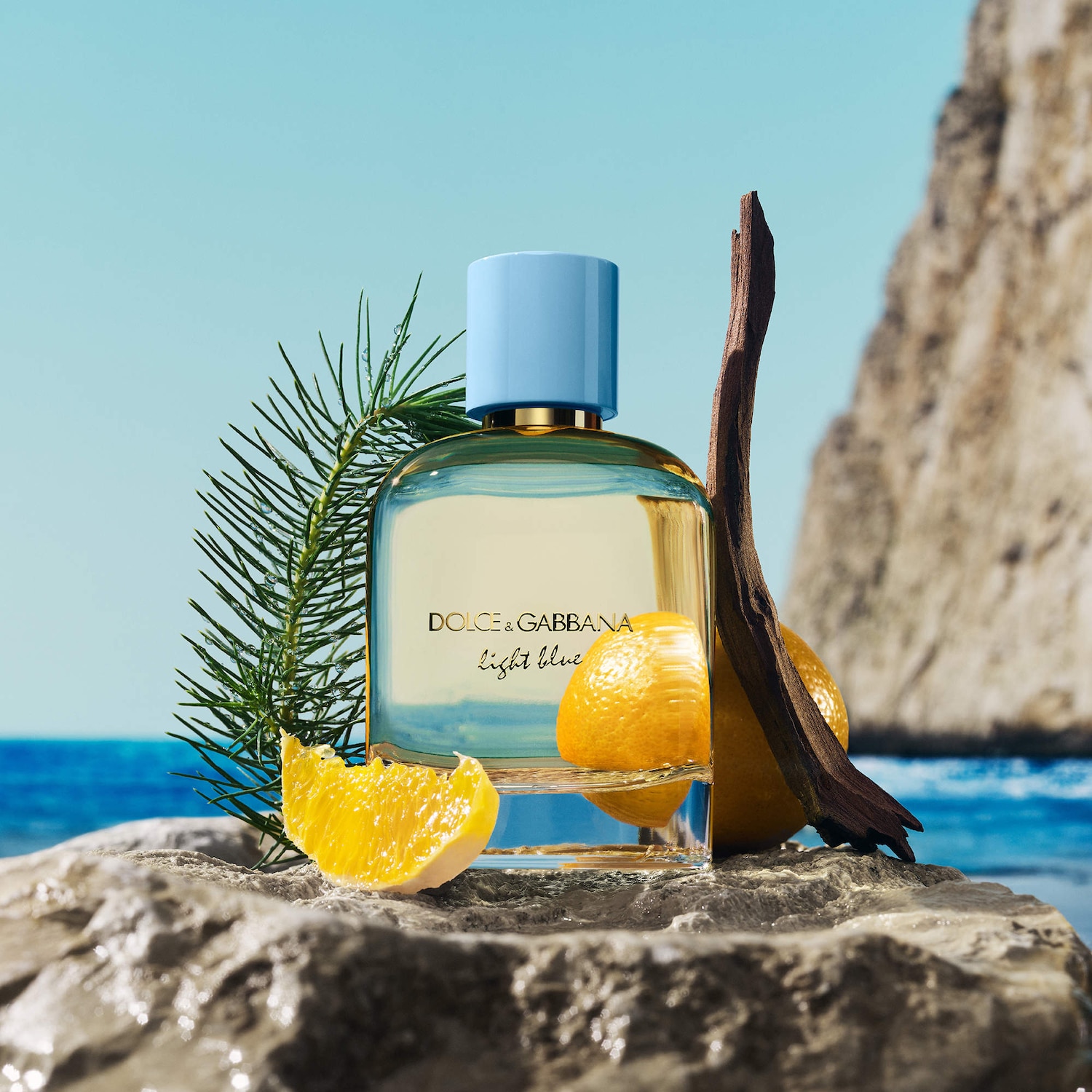 Light Blue Pour Homme Eau de Parfum Orange & Cedarwood