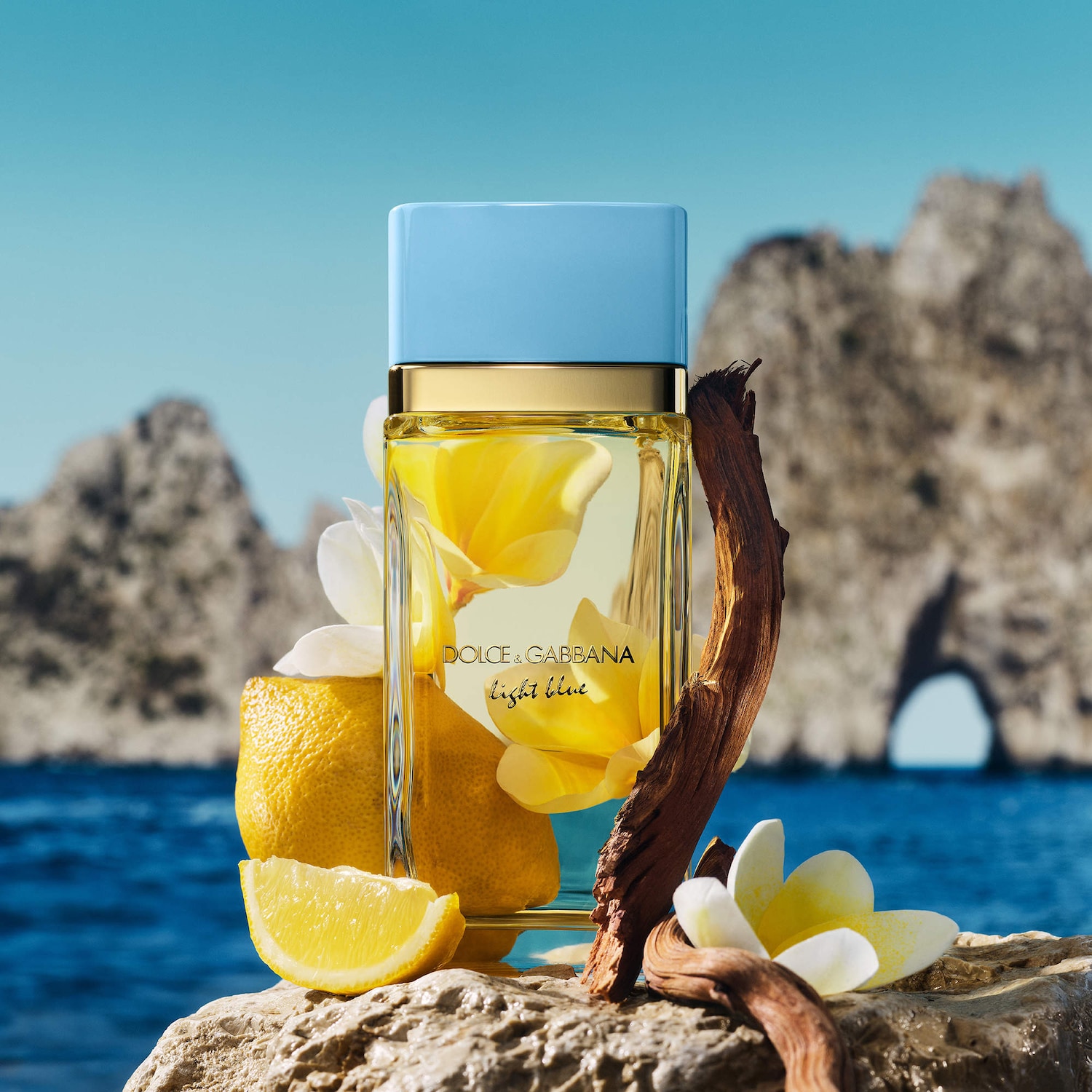 Dolce & Gabbana Light Blue Eau de Parfum - Thumbnail 4