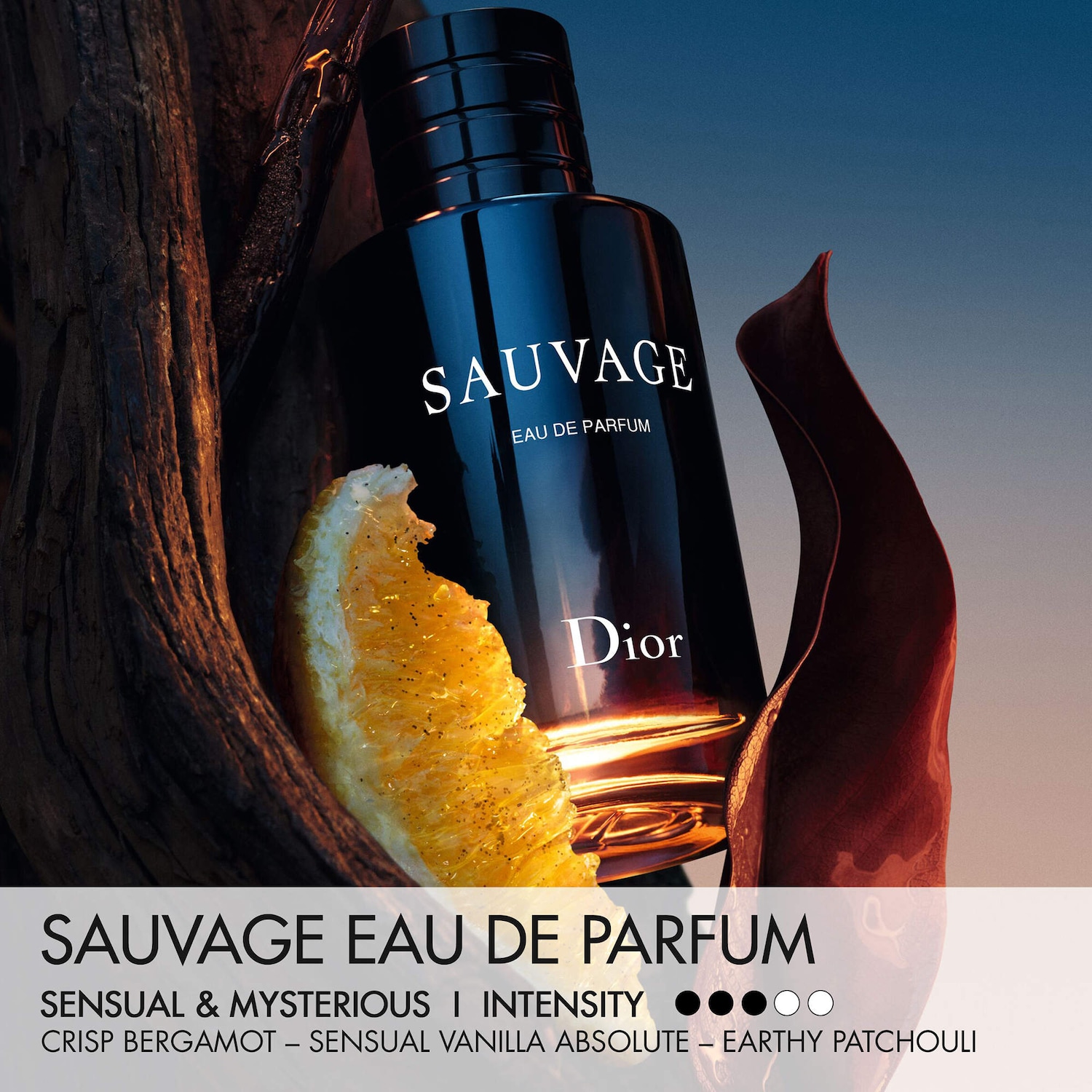 Sauvage Eau de Parfum Gift Set - DIOR | Sephora