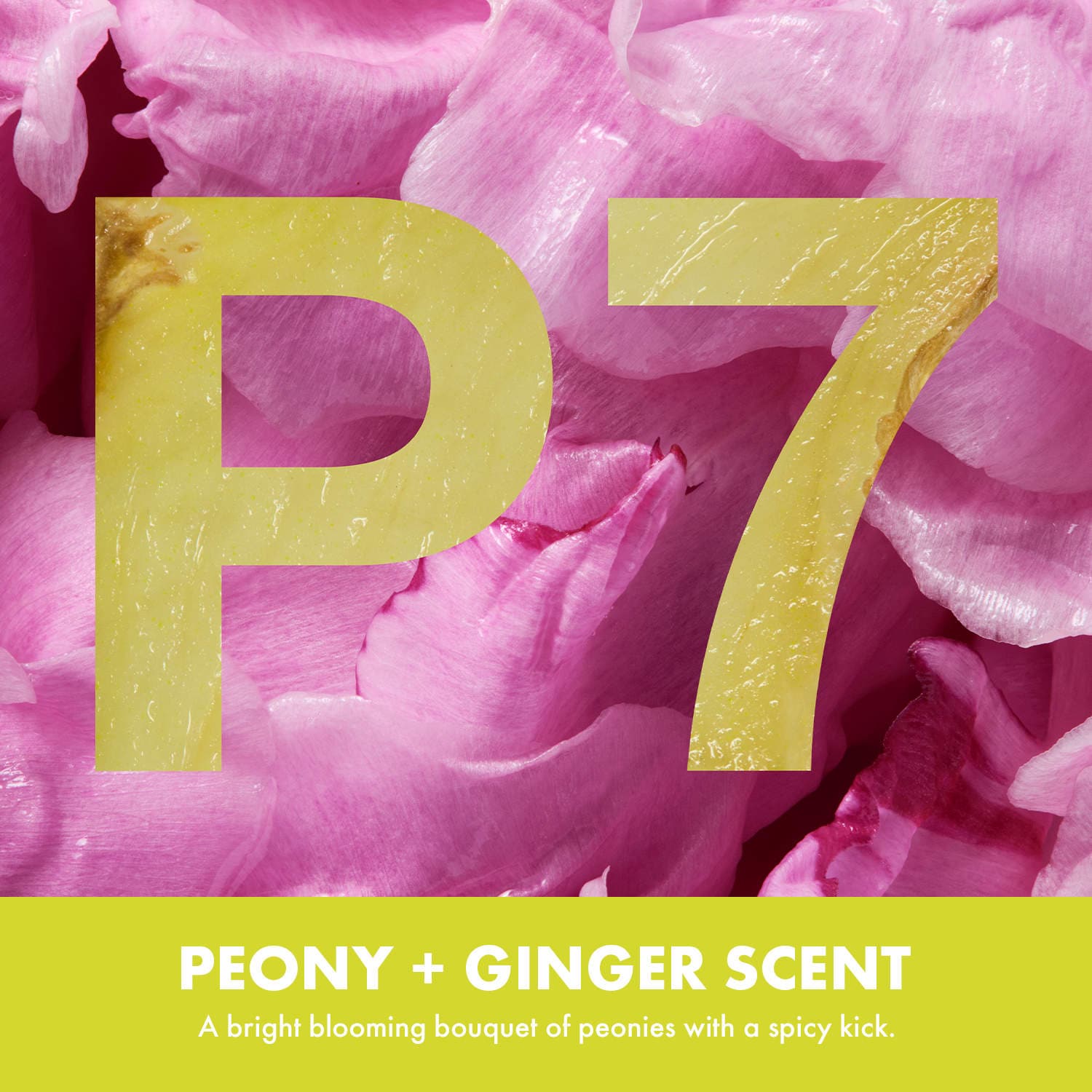 Peony + Ginger Hydrating Hand Cream - SEPHORA COLLECTION | Sephora
