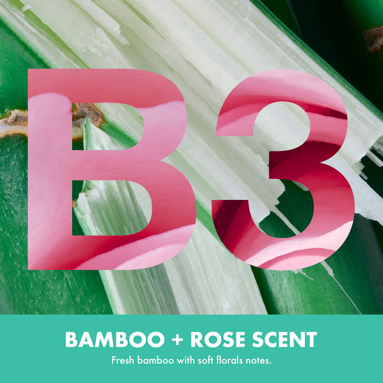 Гель для душа Sephora Collection Bamboo + Rose — фото 2
