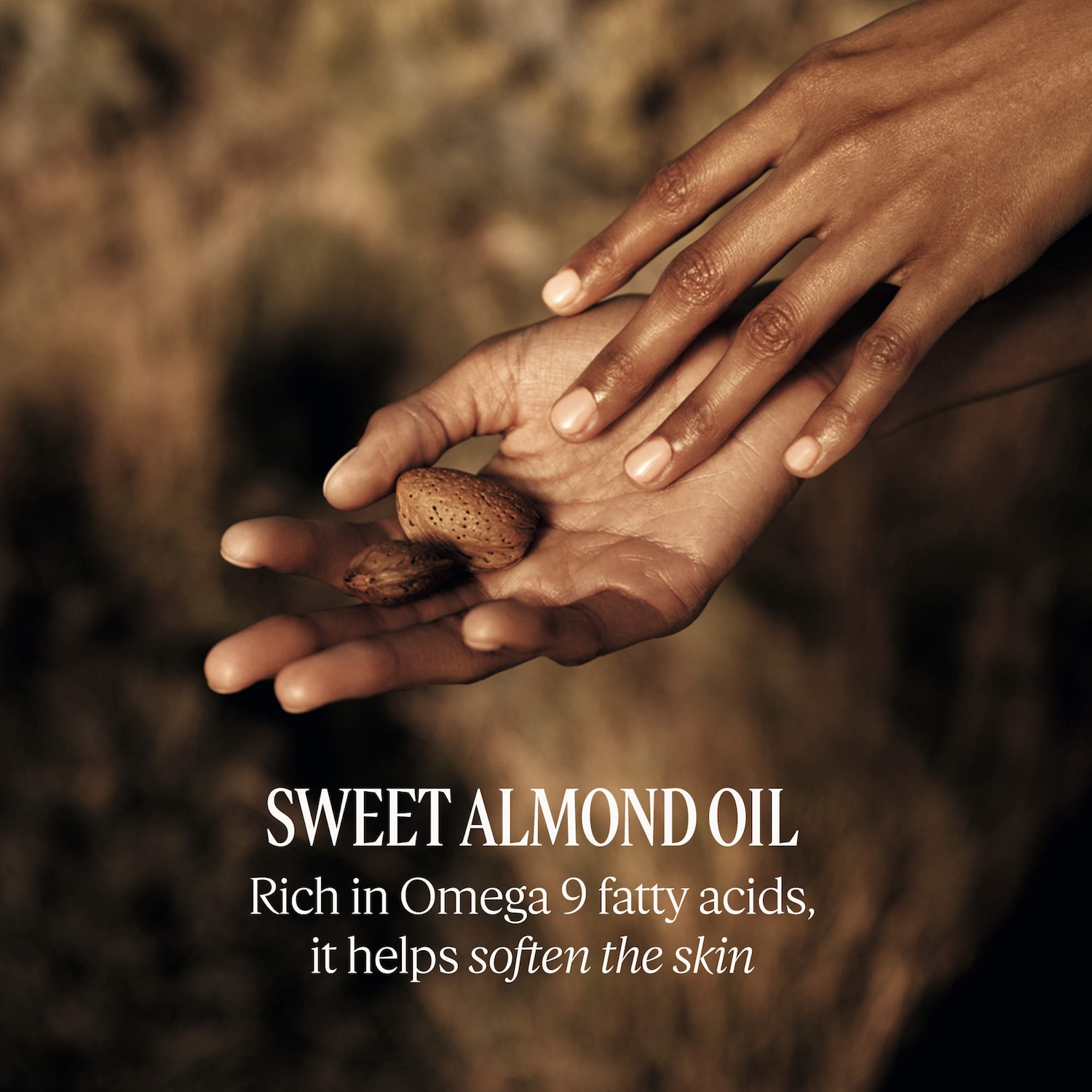 Almond Forever Hand & Body Gift Set - L'Occitane | Sephora