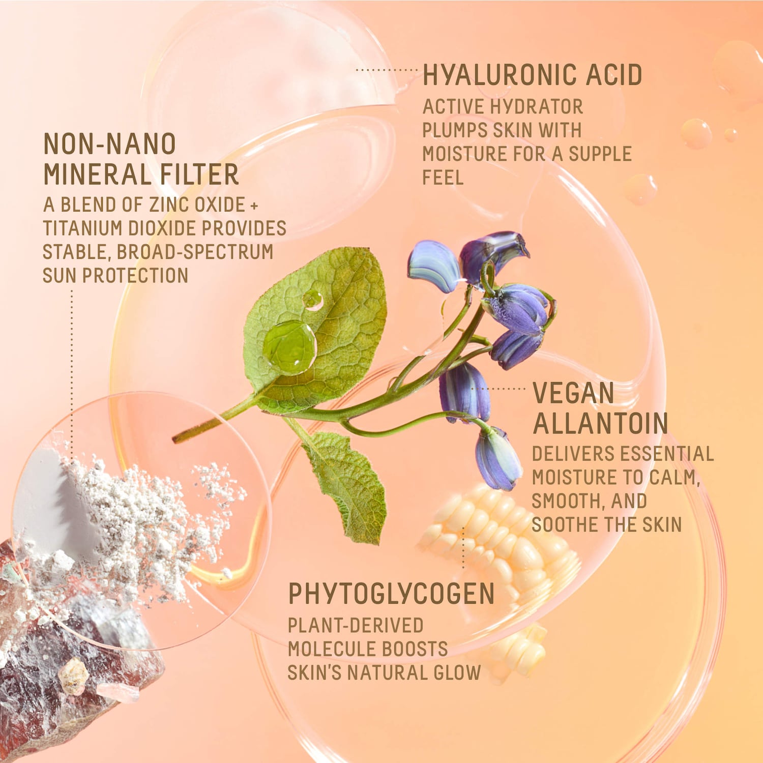 Daily Hydration Mineral Face Sunscreen SPF 50 + Squalane