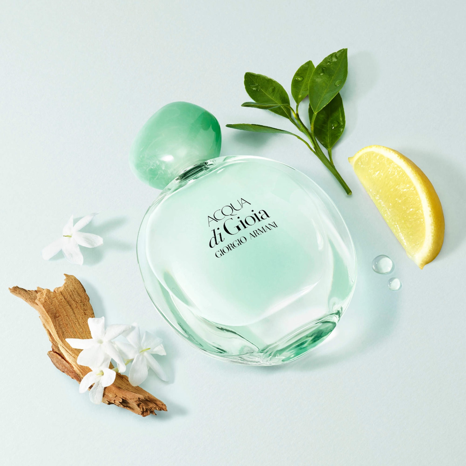 Acqua Di Gioia Eau de Parfum Mother's Day Gift Set with Travel