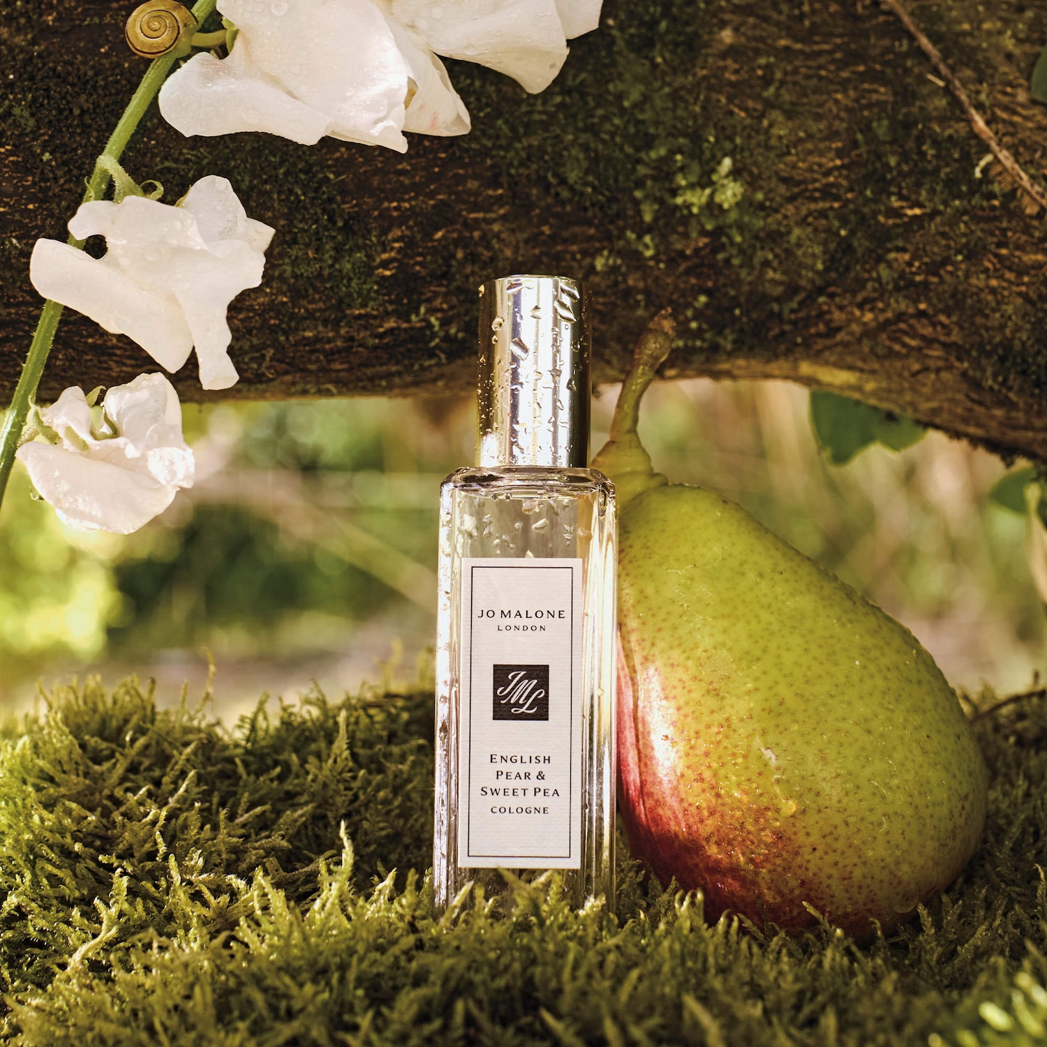 English Pear & Sweet Pea Home & Away Set - Jo Malone London | Sephora