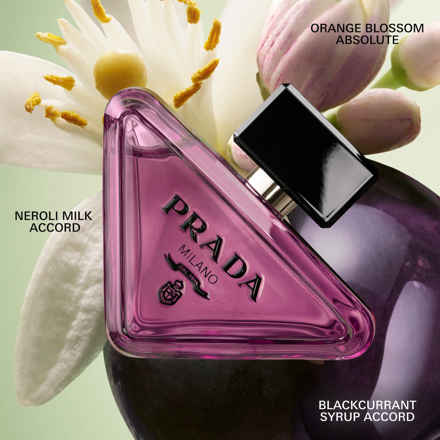 Paradoxe Sweet Chemistry Eau de Parfum with Blackcurrant Travel