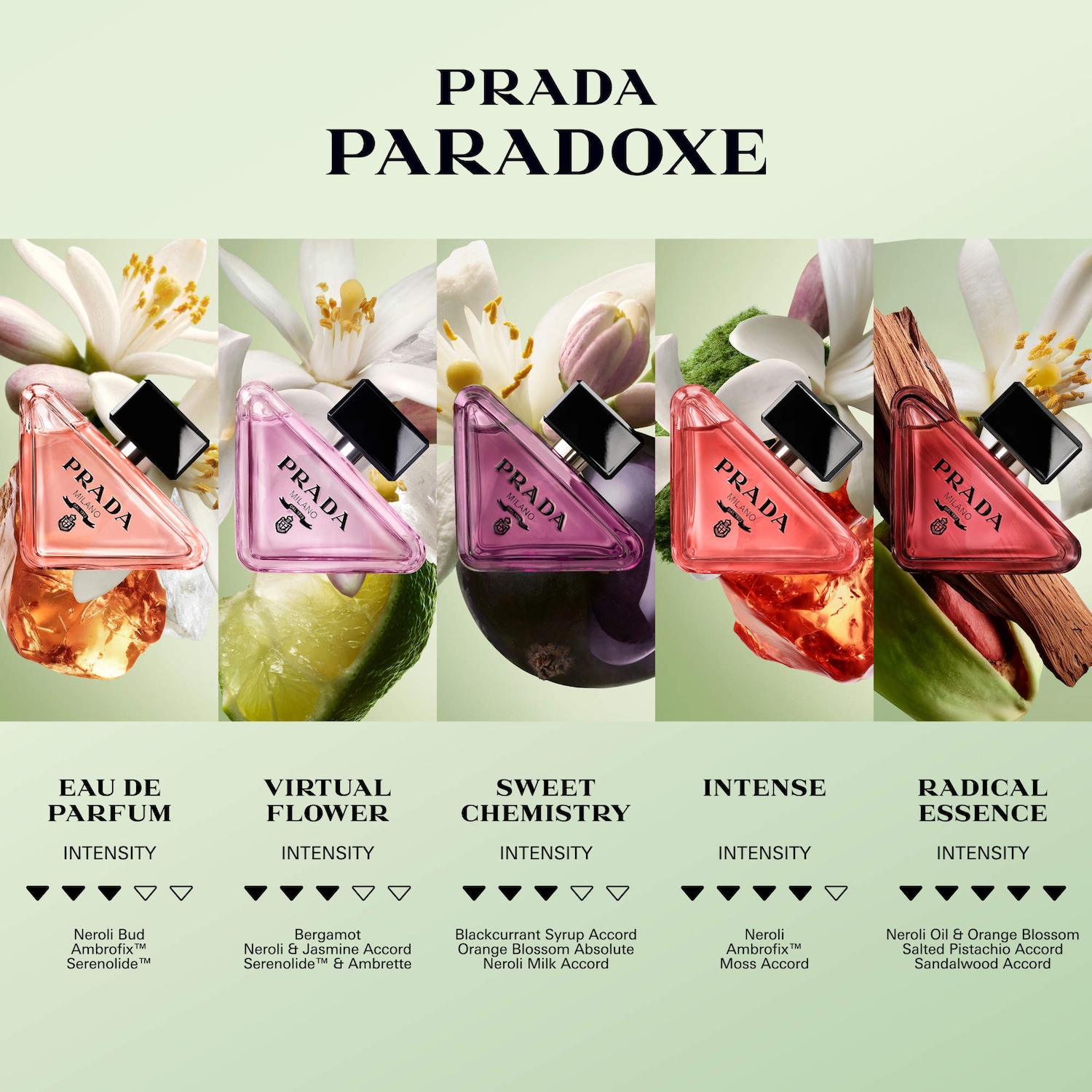 Paradoxe Sweet Chemistry Eau de Parfum with Blackcurrant Travel