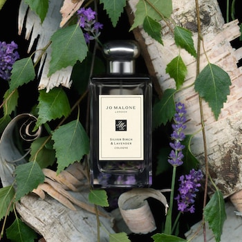 Silver Birch & Lavender Cologne - Jo Malone London | Sephora