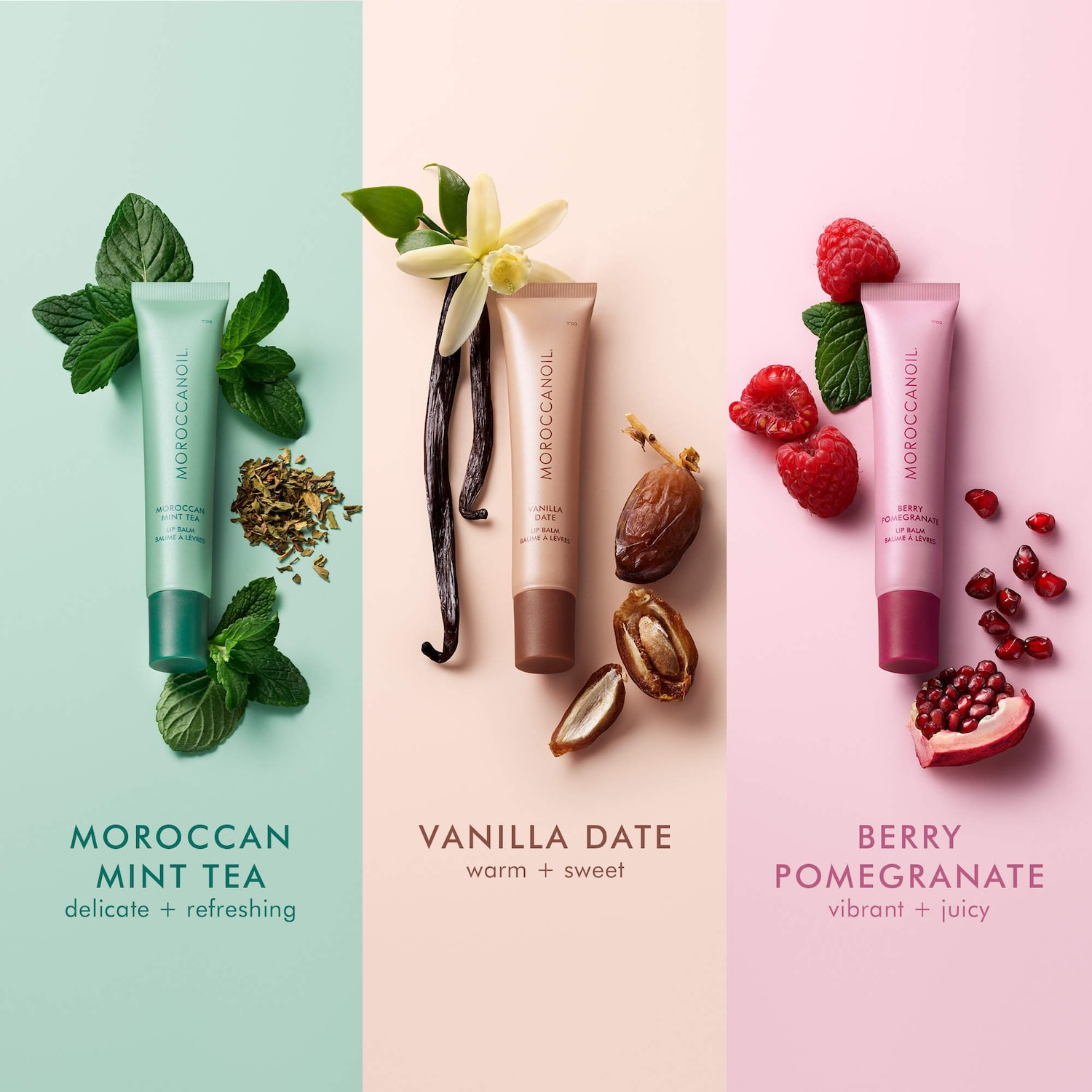 Lip Balm Trio Gift Set – Hydrating Argan + Peptide Lip Treatment