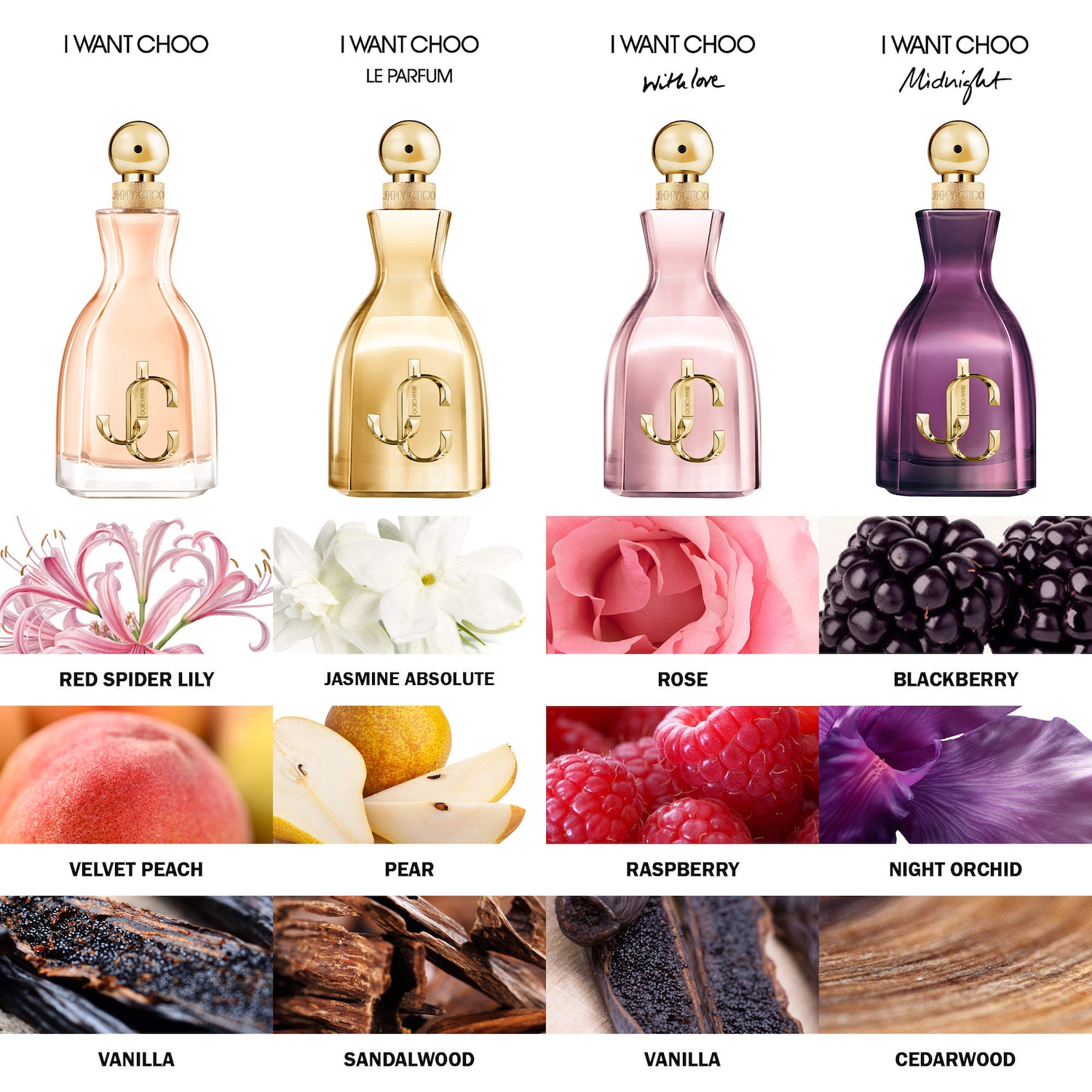 I Want Choo Midnight Eau De Parfum Travel Spray with Blackberry