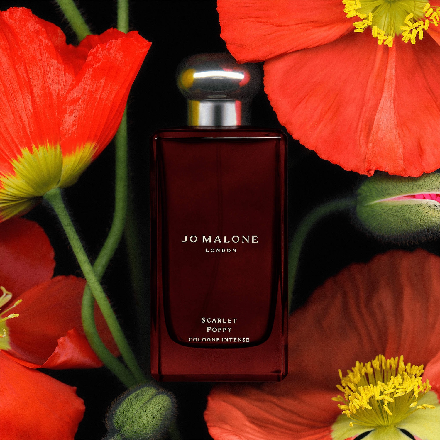 Scarlet Poppy Cologne Intense with Tonka Bean