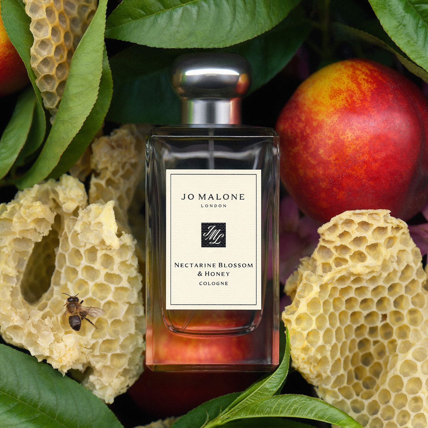 Mini Cologne Discovery Fragrance Set - Jo Malone London | Sephora