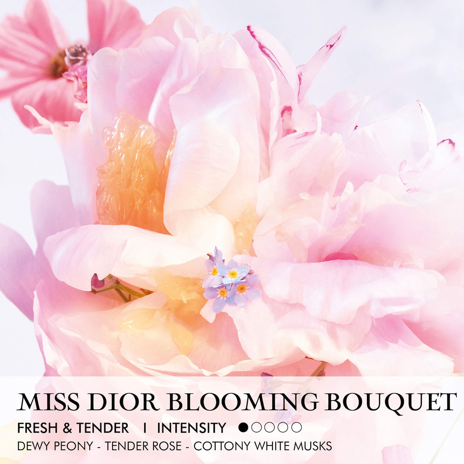 Miss Dior Blooming Bouquet Roller-pearl - Dior | Sephora
