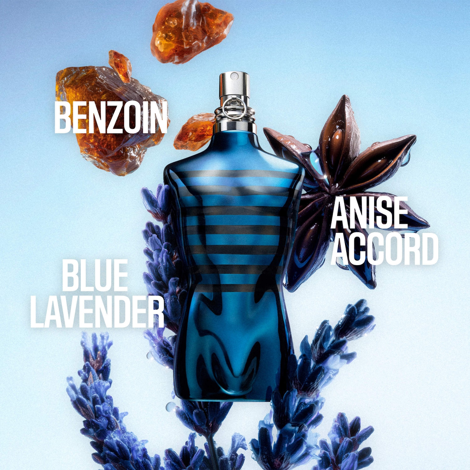 Le Male in Blue Limited Edition Eau de Parfum - Jean Paul Gaultier