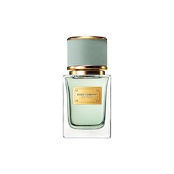 Velvet Infusion with Bergamot - Dolce&Gabbana | Sephora
