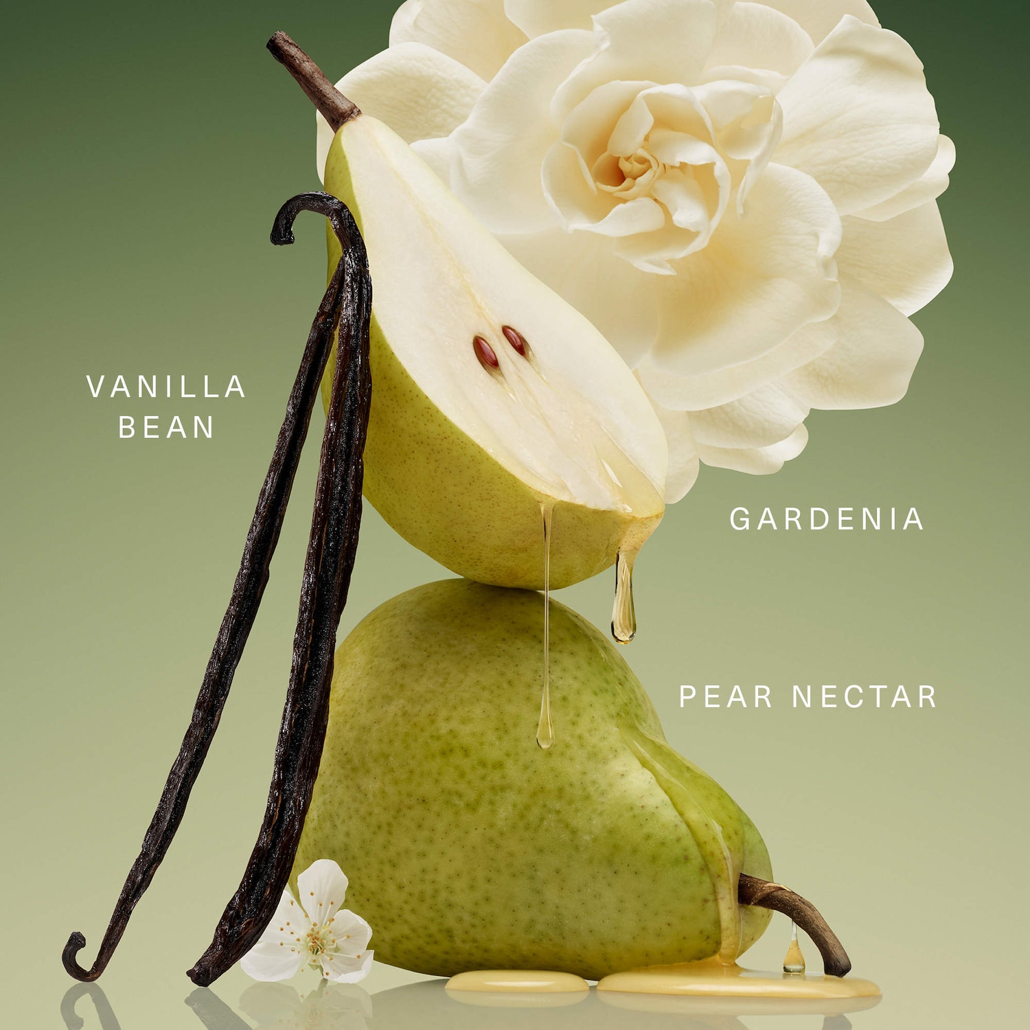 Rare Beginnings Eau de Parfum with Pear and Gardenia - Rare Beauty
