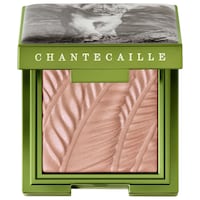 CHANTECAILLE - Lion Collection Sheer Gel-Powder Matte Eye Shade