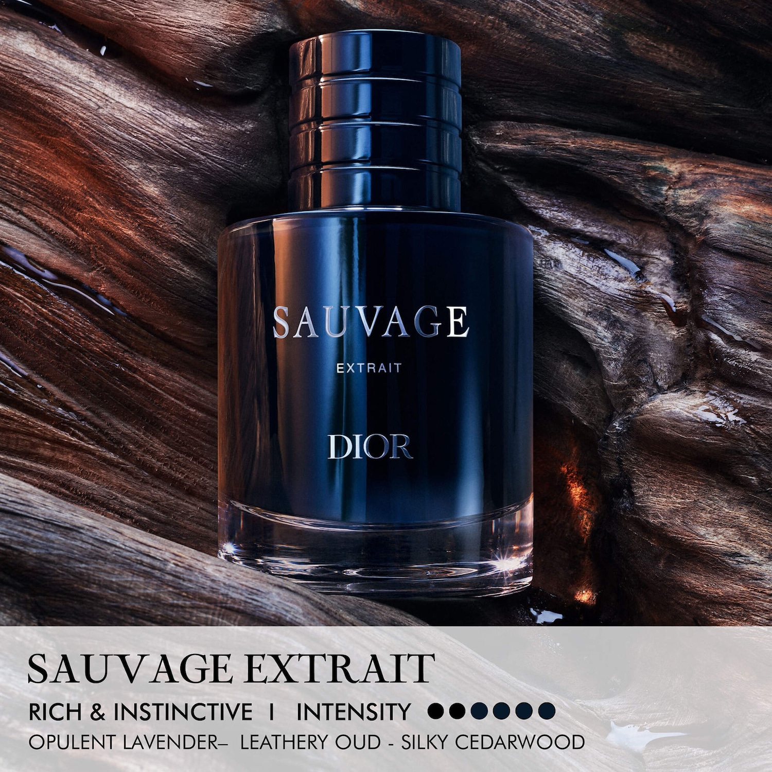 Sauvage Extrait - DIOR | Sephora