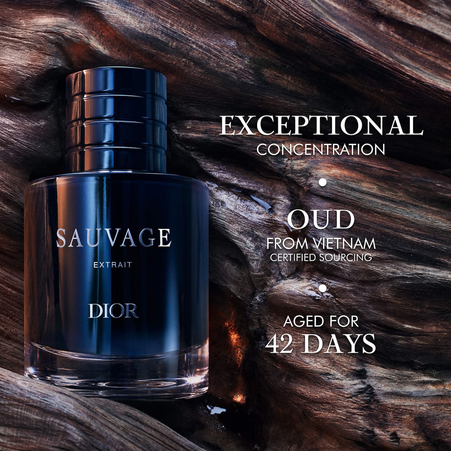 Sauvage Extrait - DIOR | Sephora