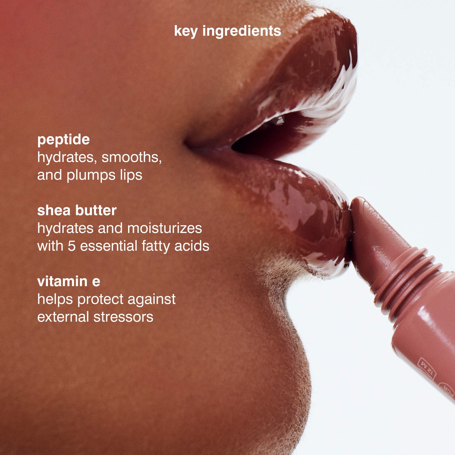Limited Edition Scented Peptide Lip Tint Nourishing Glaze - rhode