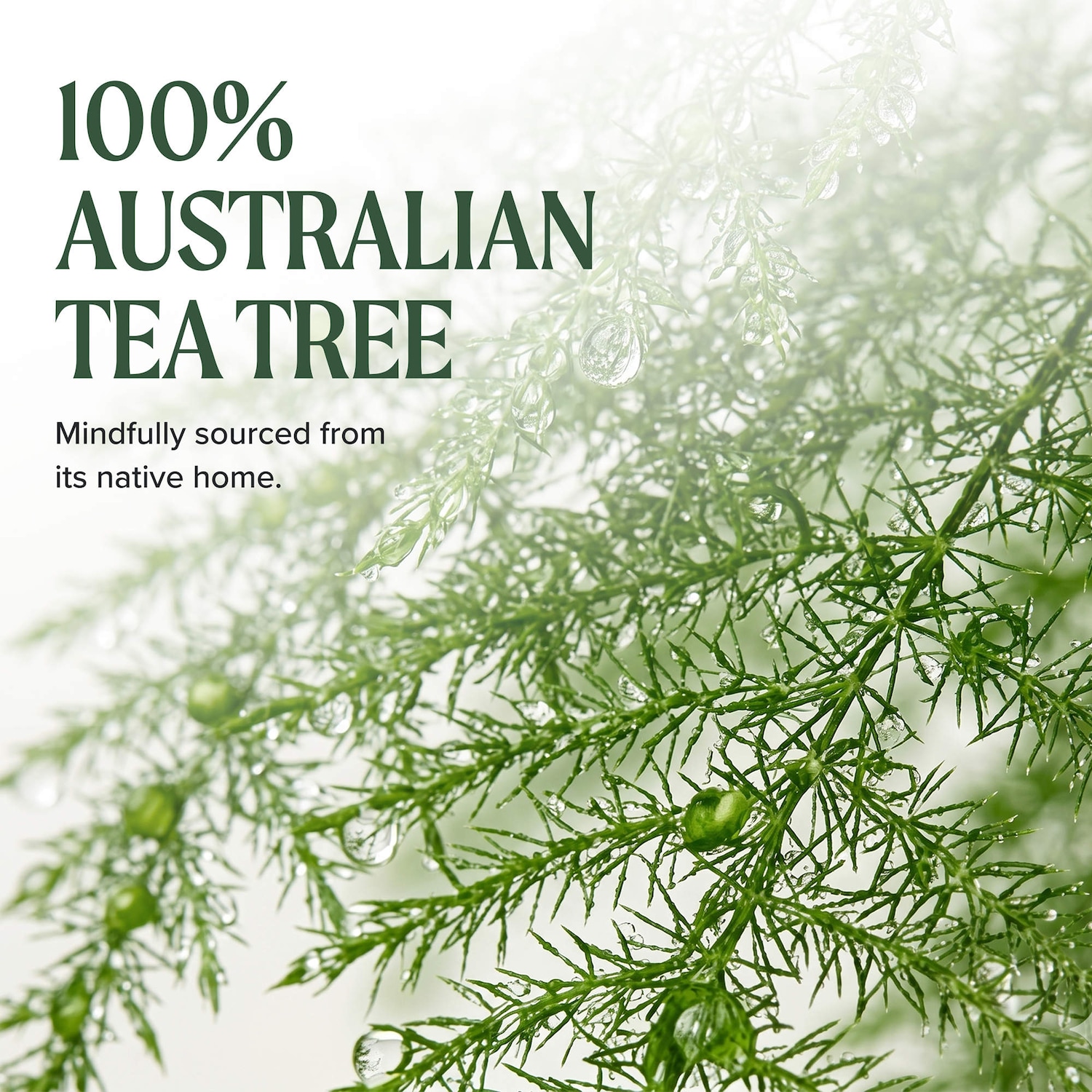 Tea Tree Lavender Mint Moisturizing Conditioner for Dry Hair