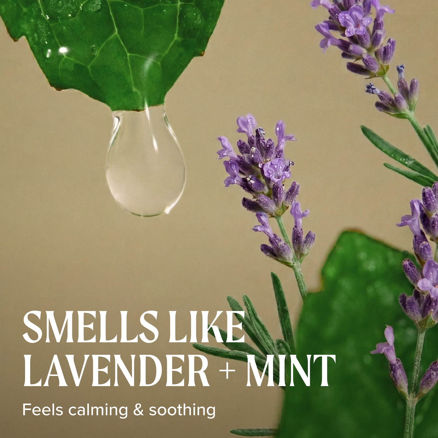 Tea Tree Lavender Mint Moisturizing Conditioner for Dry Hair