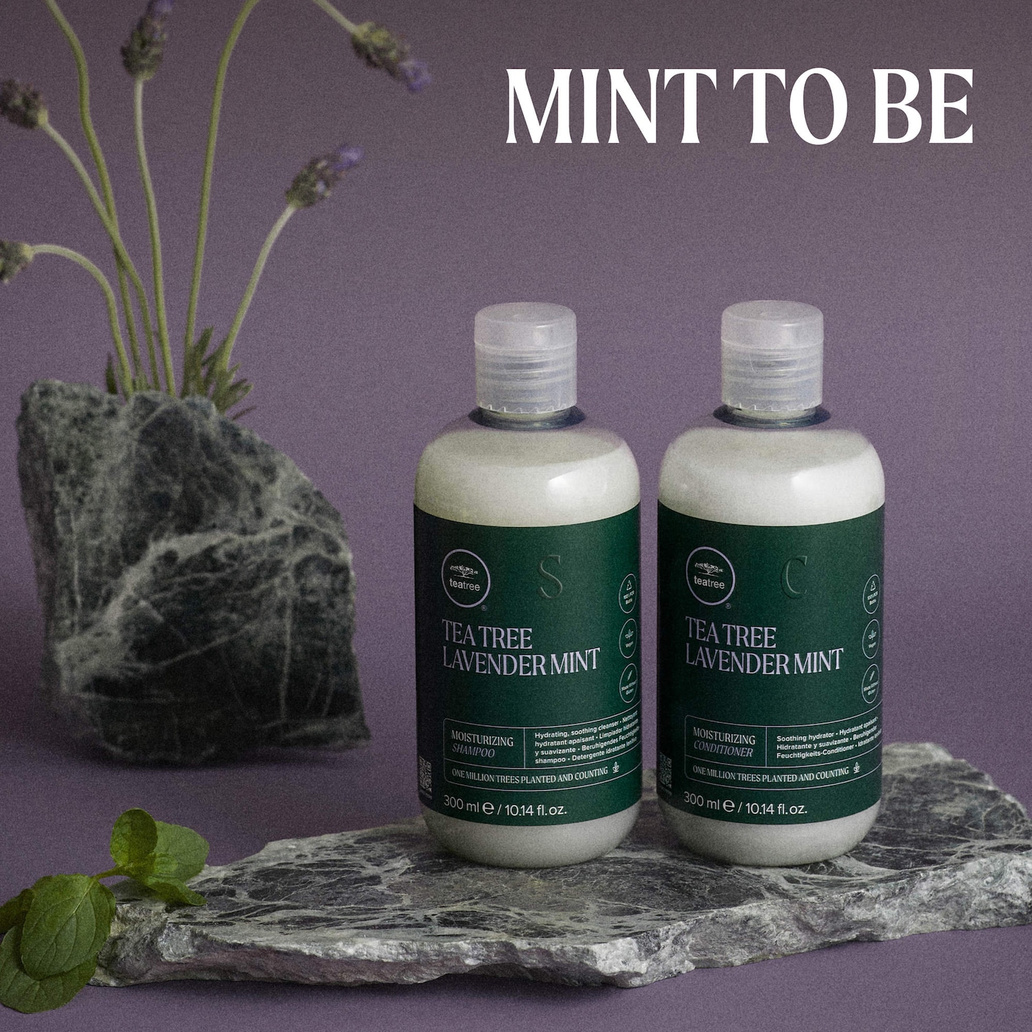 Tea Tree Lavender Mint Moisturizing Shampoo for Dry Hair - Paul